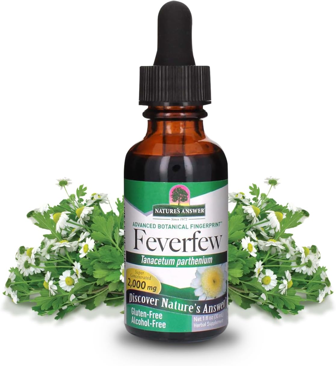 alcohol-free-feverfew-extract-2000mg-source-of-parthenolide-promotes-overall-well-being-1oz-bottle-no-artificial-flavors-single-count-1