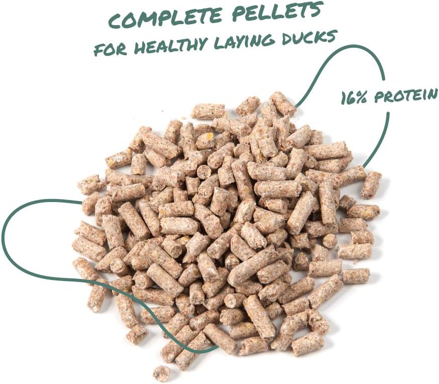 8-lb-manna-pro-duck-layer-pellet-with-high-protein-for-egg-production-probiotics-for-digestion-support-3