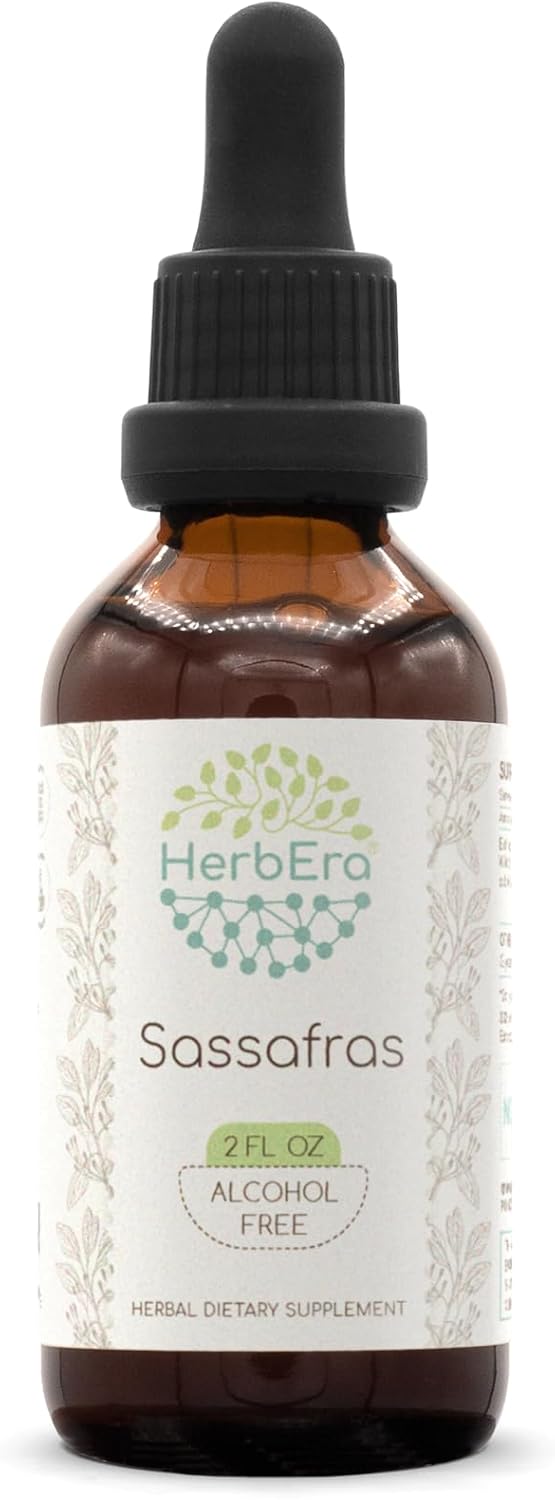 herbera-sassafras-b60-alcohol-free-herbal-extract-tincture---concentrated-liquid-drops-with-natural-sassafras-dried-root-bark---2-fl-oz-1