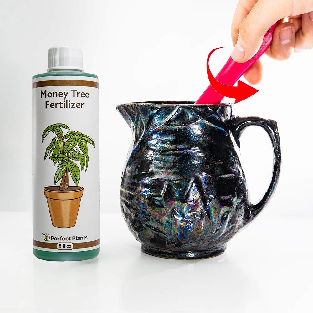 premium-liquid-money-tree-fertilizer---8oz-concentrated-pachira-aquatica-fertilizer-for-indoor-outdoor-use---ideal-for-containerized-money-trees-6
