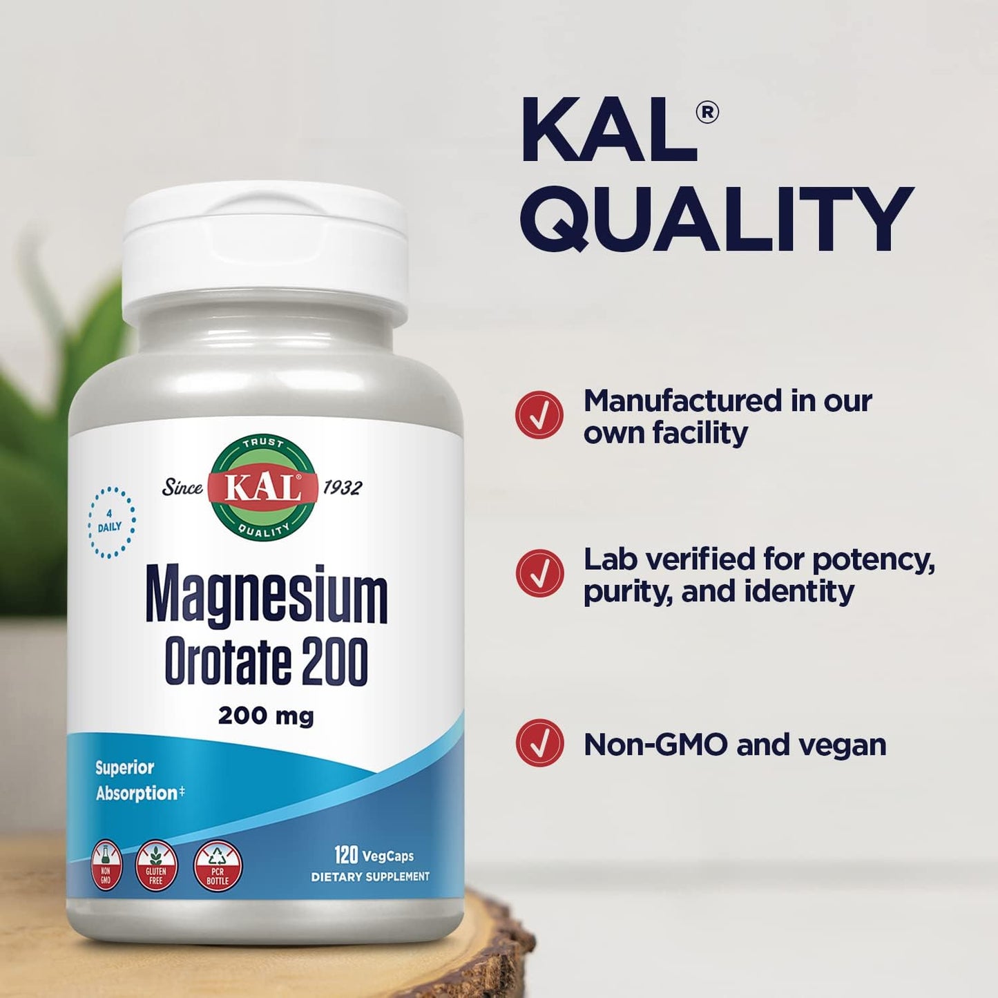Superior Absorption Magnesium Orotate 200mg - Chelated Formula for Bone, Teeth, Nerve & Muscle Health - Vegetarian, Non-GMO, Gluten Free - 120 VegCaps, 30 Servings - Espot.com.au