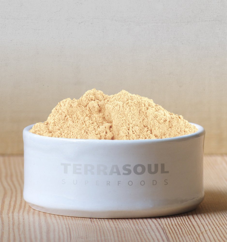 organic-ginger-powder-1-lb---lab-tested-for-raw-potent-spicy-flavor-terrasoul-superfoods-3