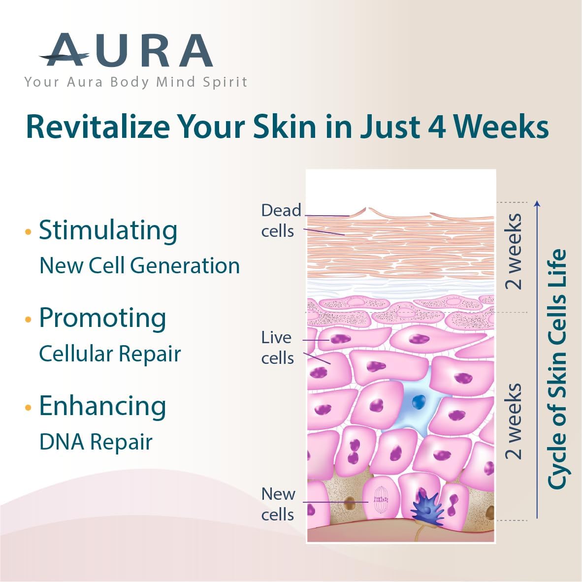 advanced-cellular-rejuvenation-system-powder-with-bioactive-collagen-peptides-for-healthy-aging-dna-repair-unflavored-31-servings-4