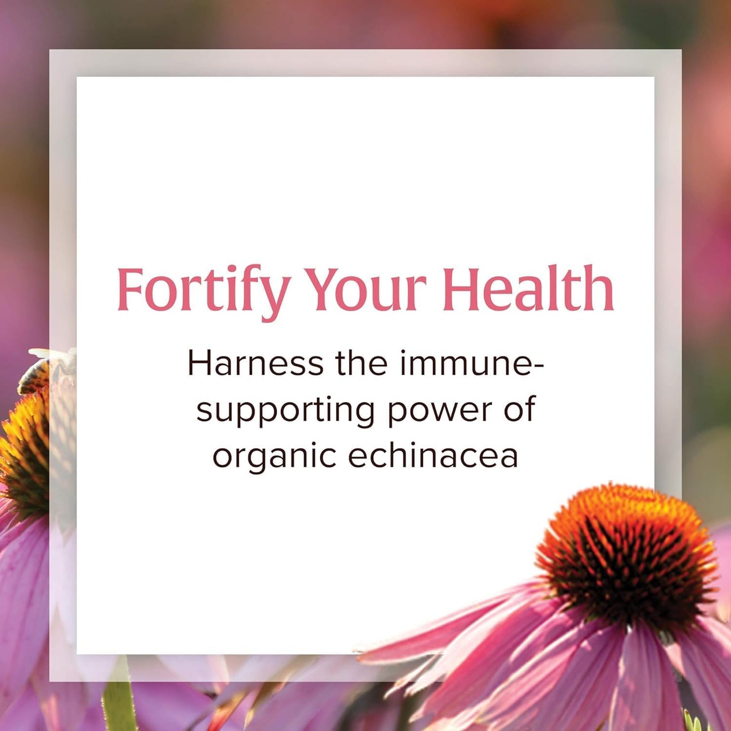 organic-echinacea-supplement-for-immune-support---anti-v-liquid-formula-by-natural-factors-non-gmo-100-servings-34-oz-3