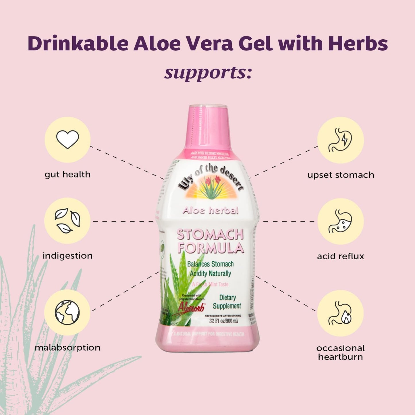 organic-aloe-vera-juice-for-gut-health---digestive-support-with-slippery-elm-chamomile-peppermint-ginger---heartburn-relief---32-oz-2-pack-3