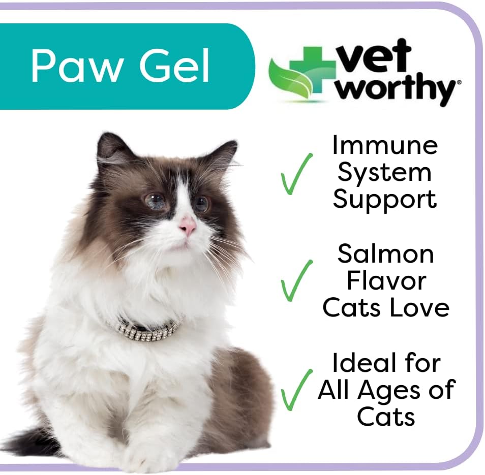 salmon-flavored-l-lysine-paw-gel-for-cats---immune-system-support-and-overall-health---3oz-cat-supplement-2
