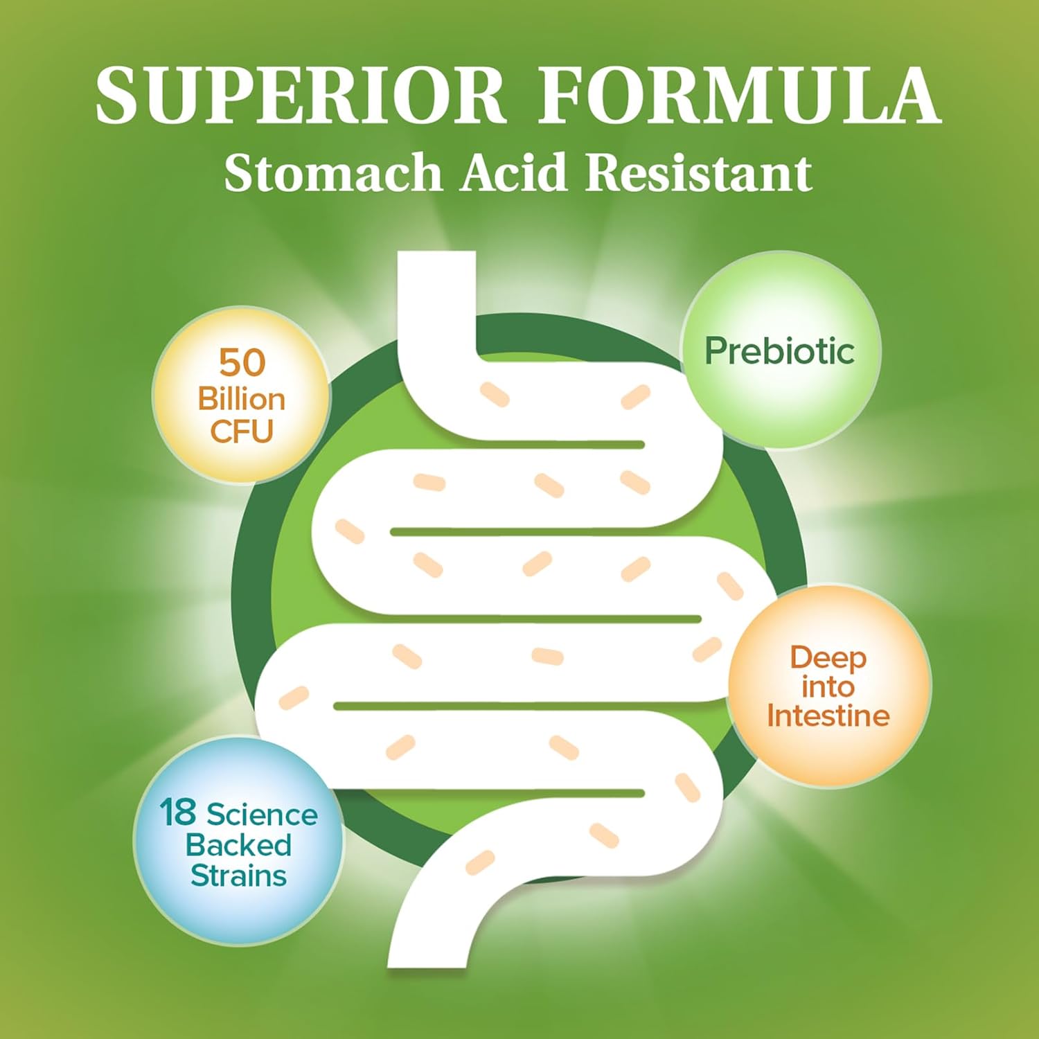 high-potency-probiotics---50-billion-cfu-18-strains-60-capsules---non-gmo-gluten-free---naturemyst-3