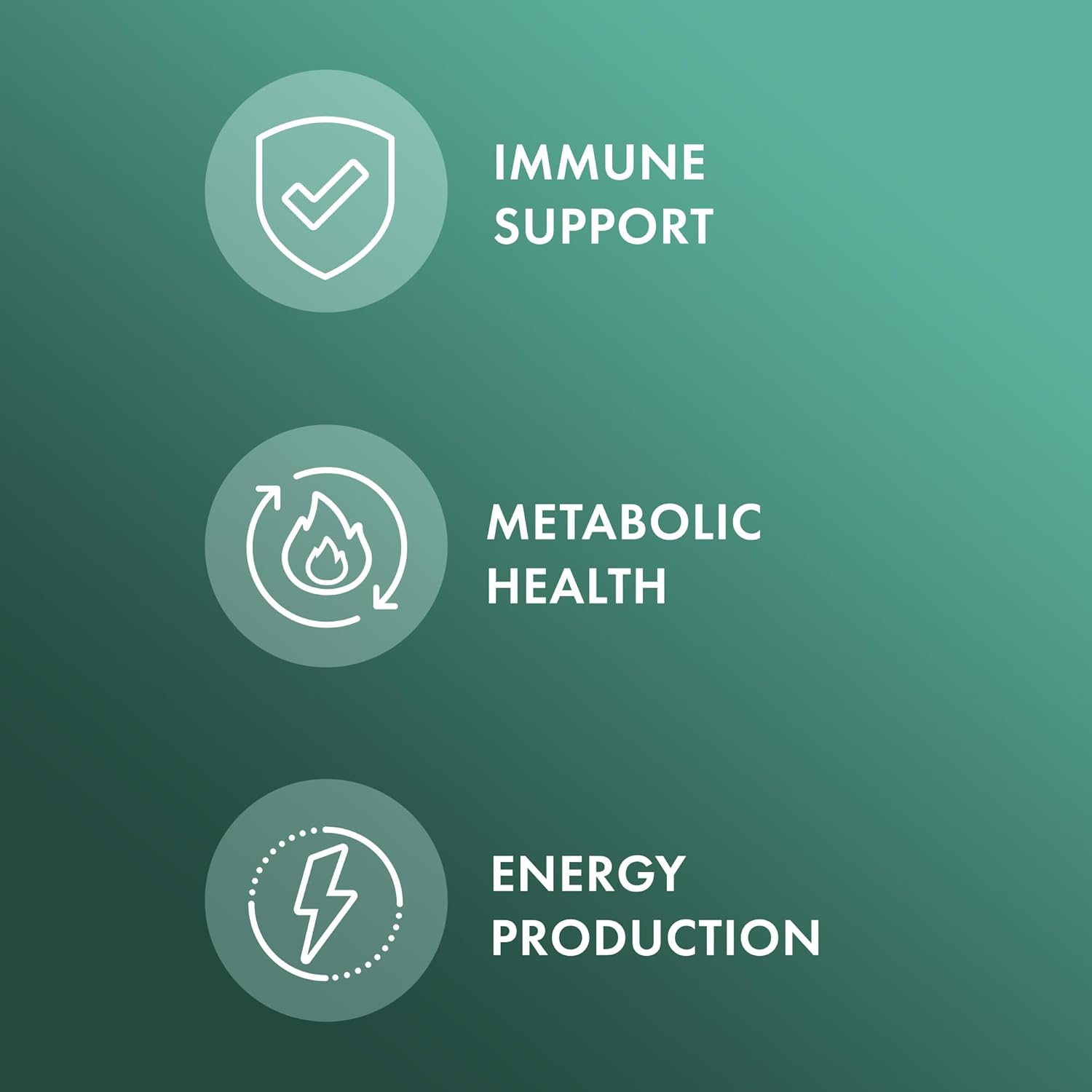 mercola-l-lysine-capsules---90-count-30-servings---1500mg-daily---immune-metabolic-support---non-gmo-dietary-supplement-3