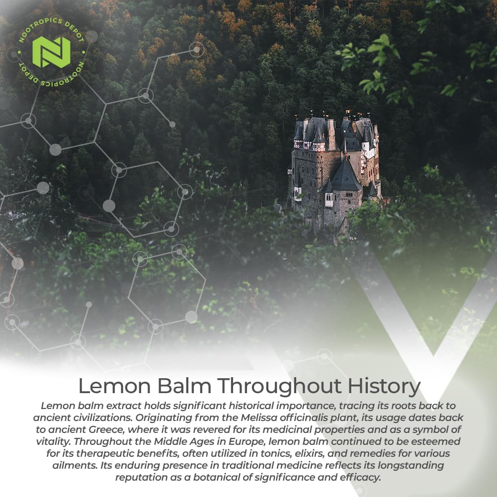 lemon-balm-extract-tablets---500mg---120-count---high-quality-nootropic-supplement-with-101-water-ethanol-extract---enhance-cognitive-function-and-support-relaxation-5