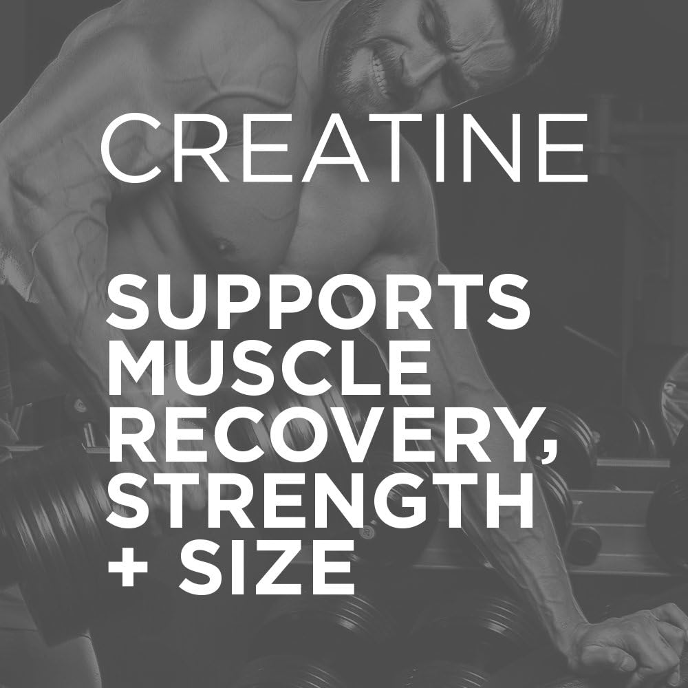 rainbow-candy-flavored-creapure-creatine-powder-for-recovery-strength---5g-micronized-creatine-monohydrate-50-servings-4
