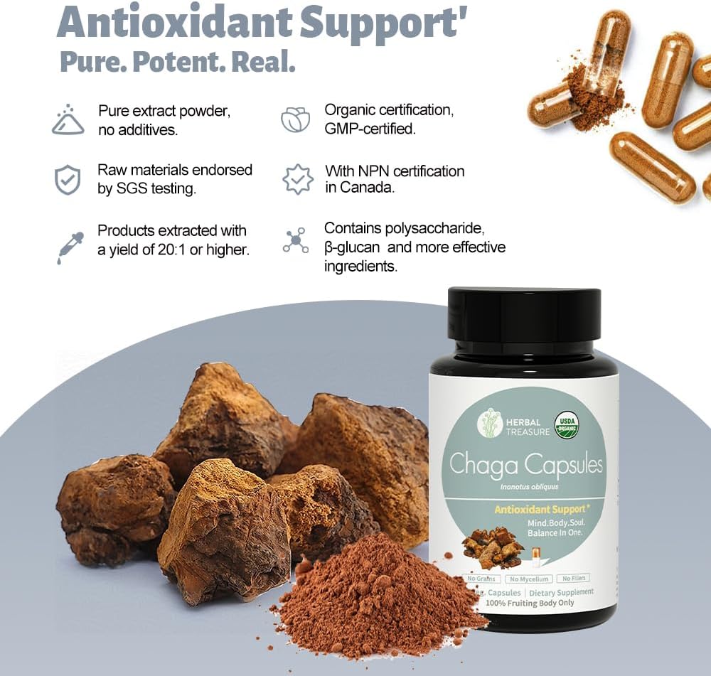 organic-chaga-mushroom-powder-capsules-for-energy-immune-support---90-herbal-treasure-supplements-2