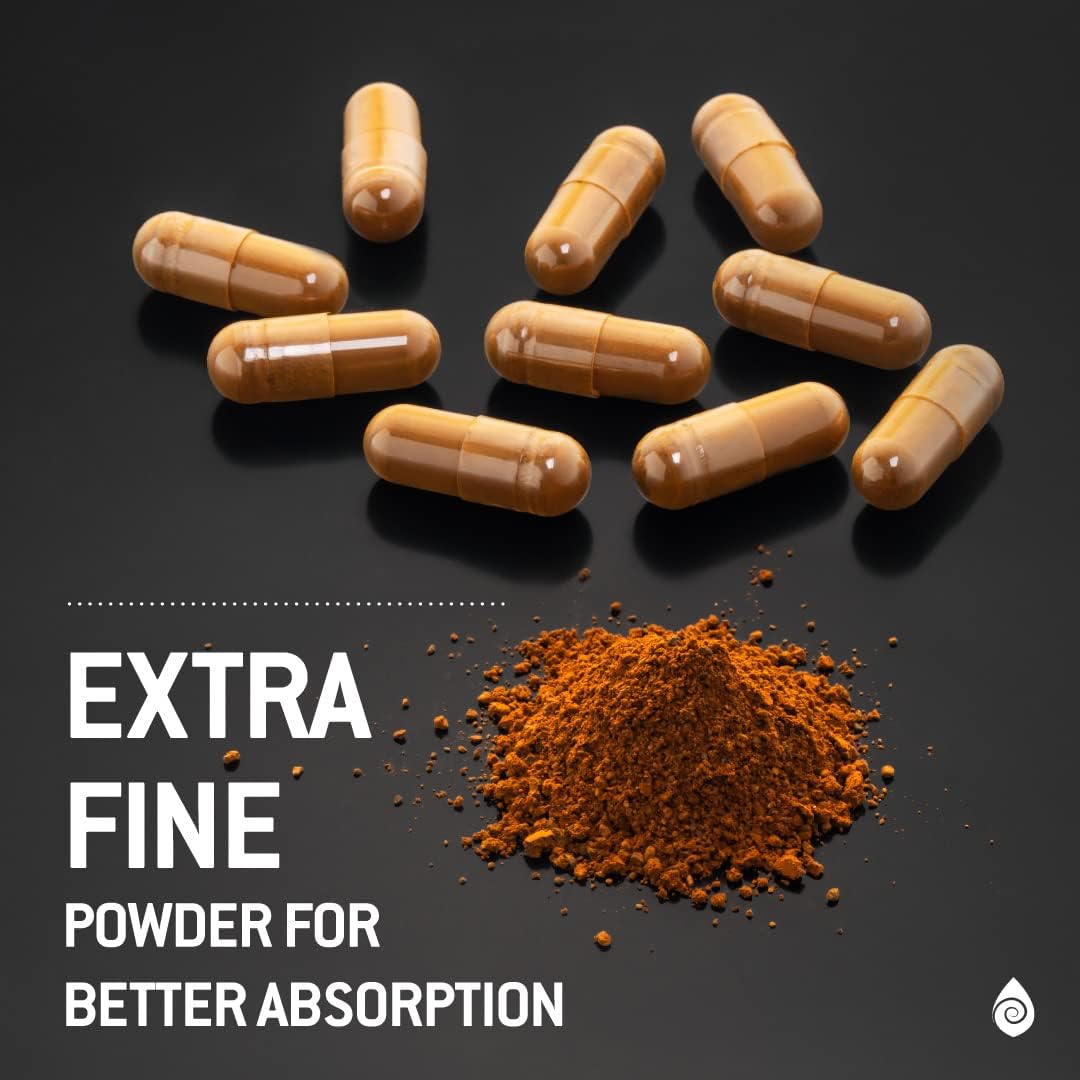 Organic Chaga Mushroom and Black Garlic Capsules - Antioxidant Immune Support Supplement - Nordic Forest Mushrooms - 1500mg - 90 ct - Espot.com.au