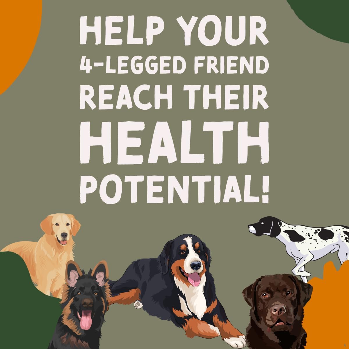 32-oz-dogbone-salmon-oil-for-dogs-omega-3-joint-supplement-vitamins-supplements-wild-alaskan-fish-oil-for-skin-coat-2