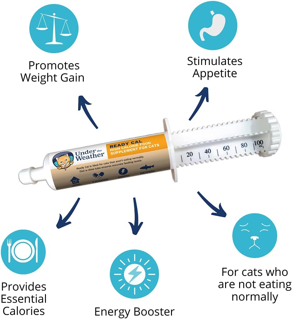 high-calorie-cat-supplement---ready-cal-100cc-weight-gainer-calorie-booster-10-vitamins-7-minerals-omega-fatty-acids-5