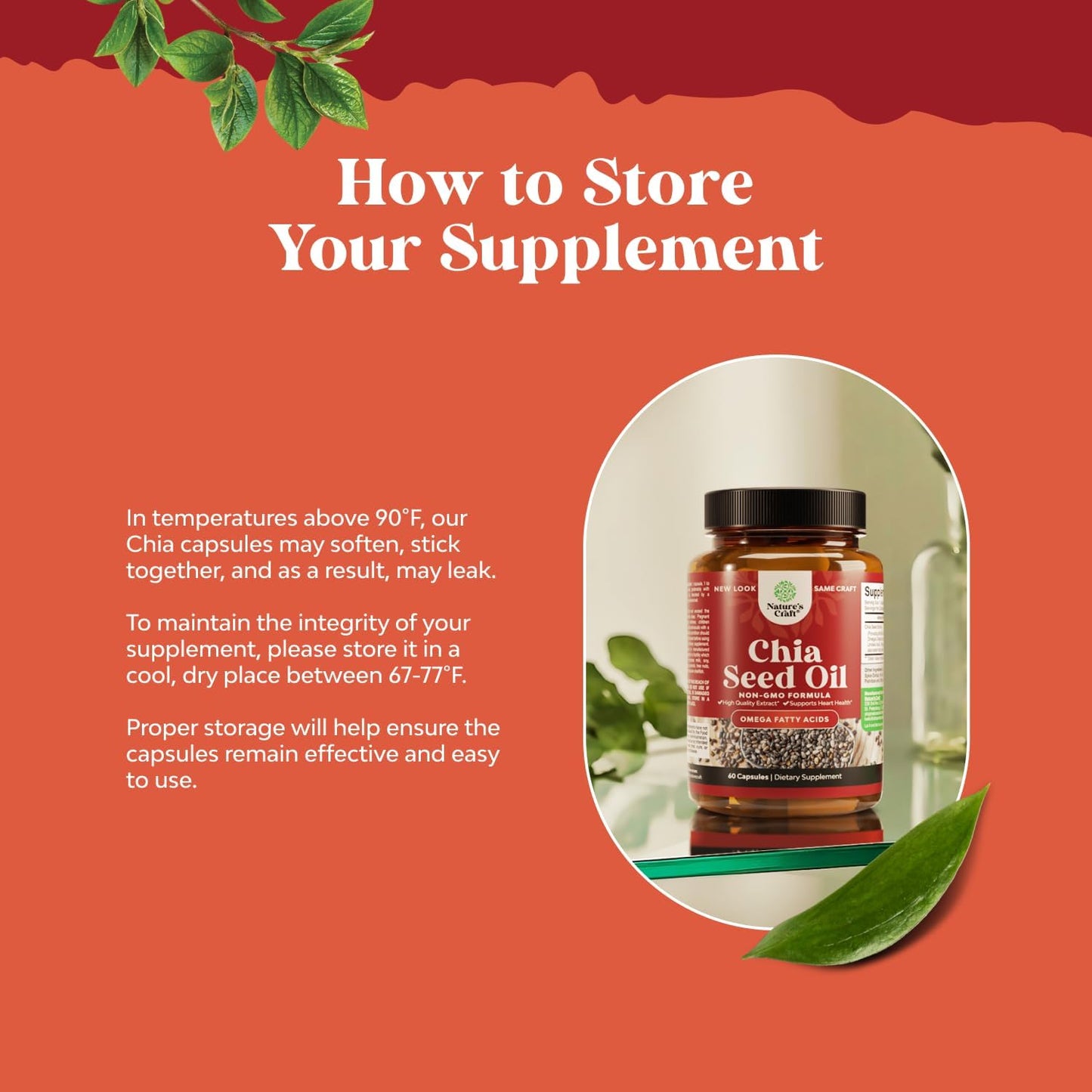 plant-based-chia-seed-oil-extract-capsules-for-digestive-heart-and-immune-support---omega-3-6-9-supplement-for-men-and-women---daily-fiber-capsules-for-adults-2