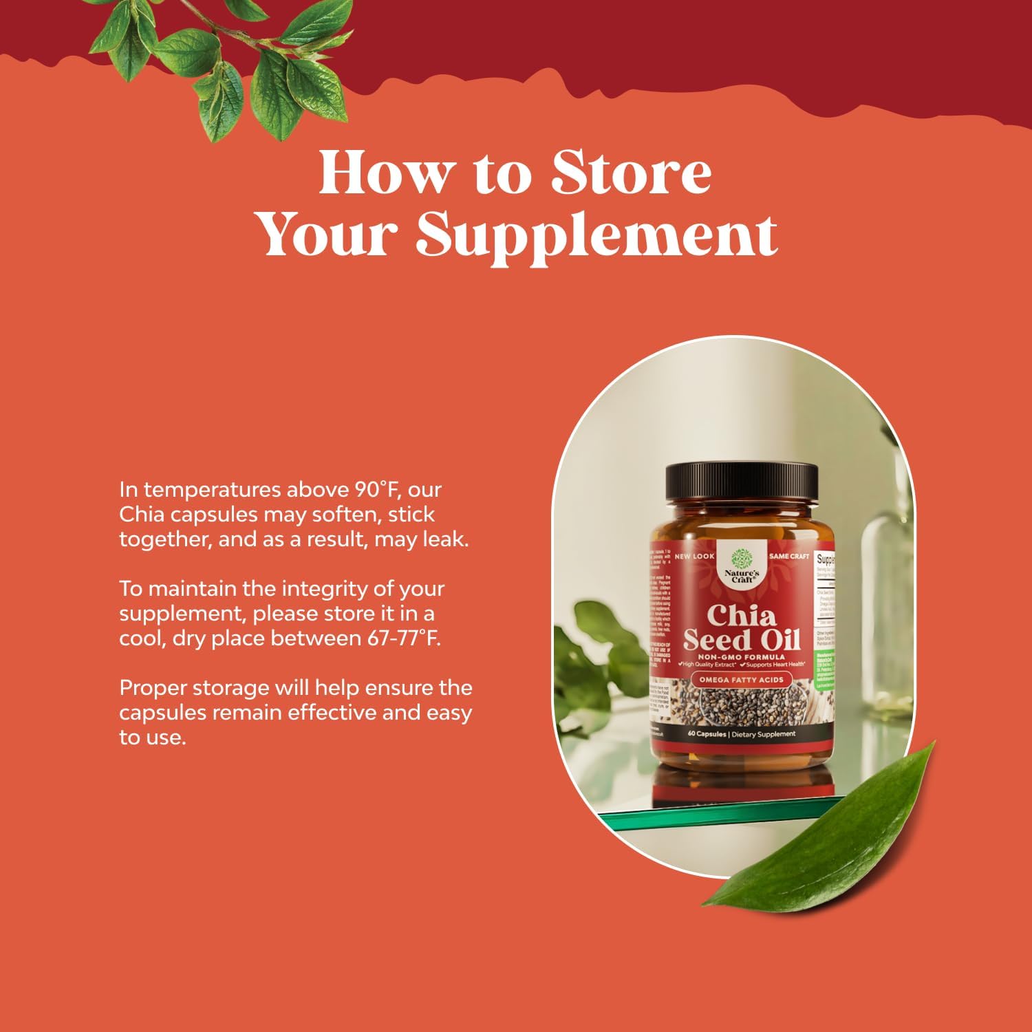 plant-based-chia-seed-oil-extract-capsules-for-digestive-heart-and-immune-support---omega-3-6-9-supplement-for-men-and-women---daily-fiber-capsules-for-adults-2