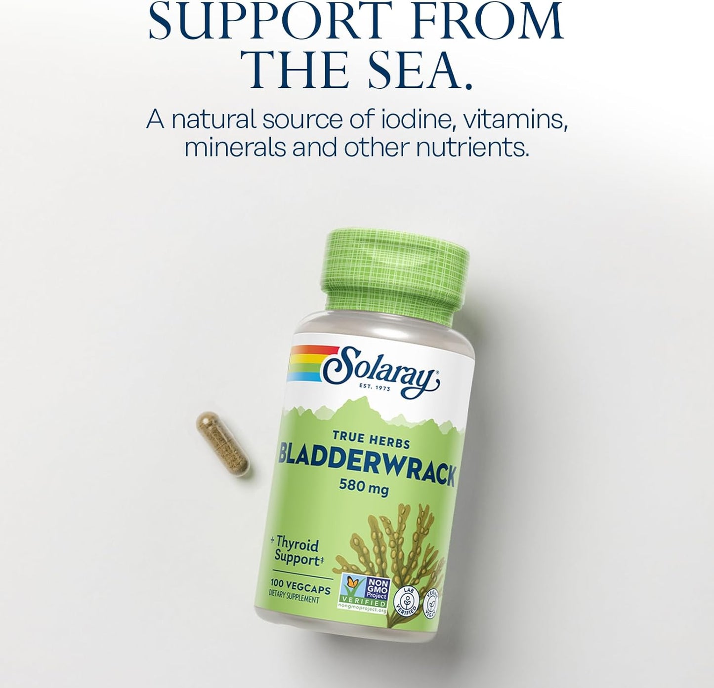 organic-bladderwrack-seaweed-capsules-for-thyroid-health---non-gmo-vegan-friendly---580-mg---100-count-3