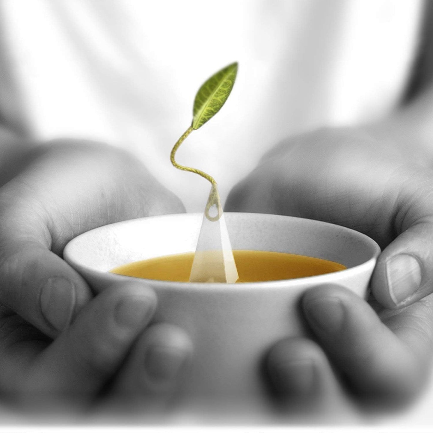 tea-forte-cherry-blossom-tea-event-box---40-pyramid-infuser-tea-sachets-for-all-occasions-6