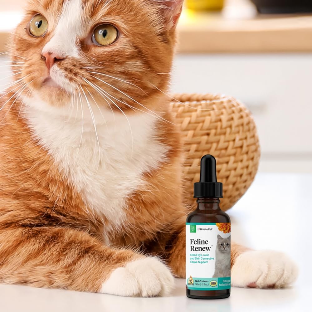 feline-renew-omega-3-supplement-for-cats---immune-joint-skin-support---30-servings-3