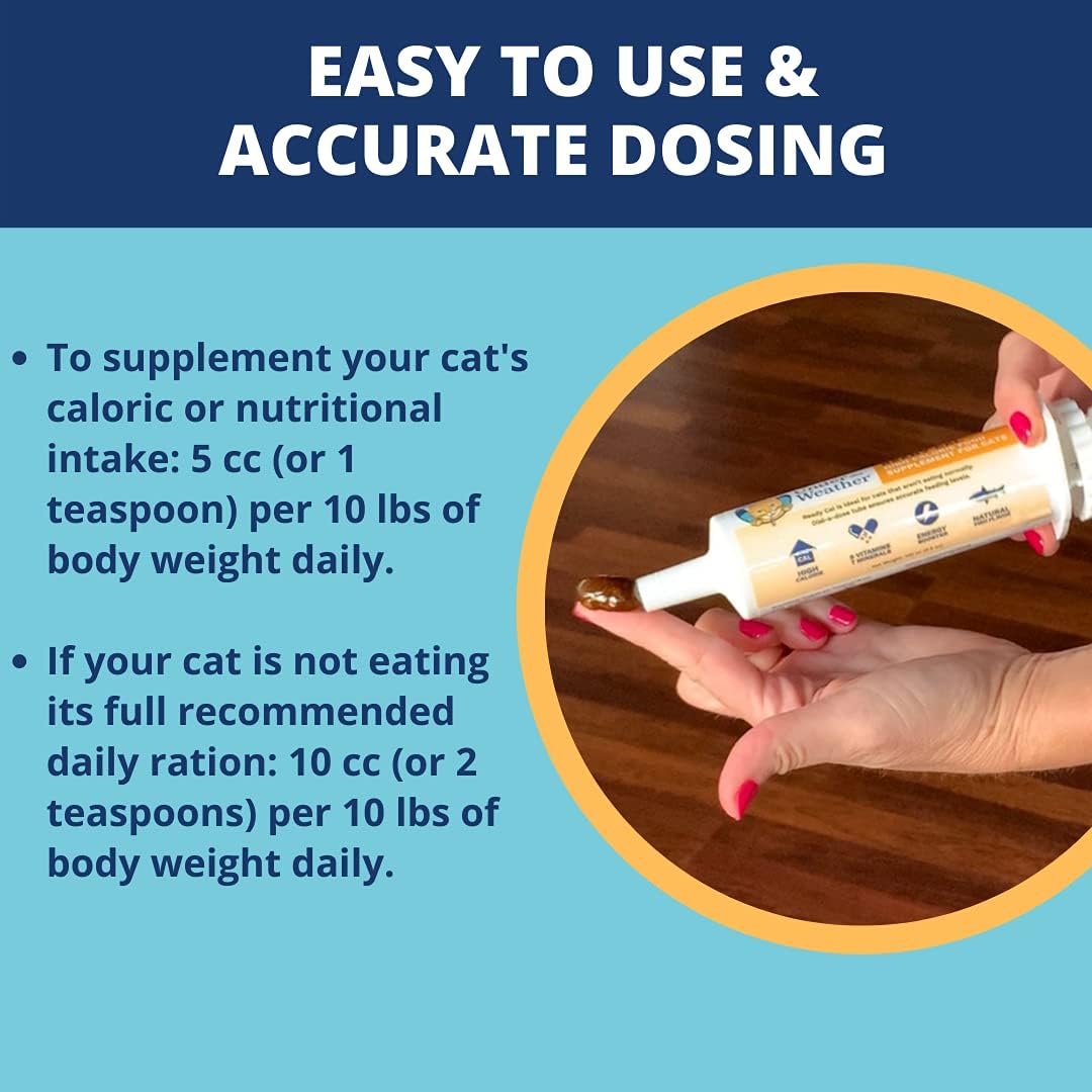 high-calorie-cat-supplement---ready-cal-100cc-weight-gainer-calorie-booster-10-vitamins-7-minerals-omega-fatty-acids-6