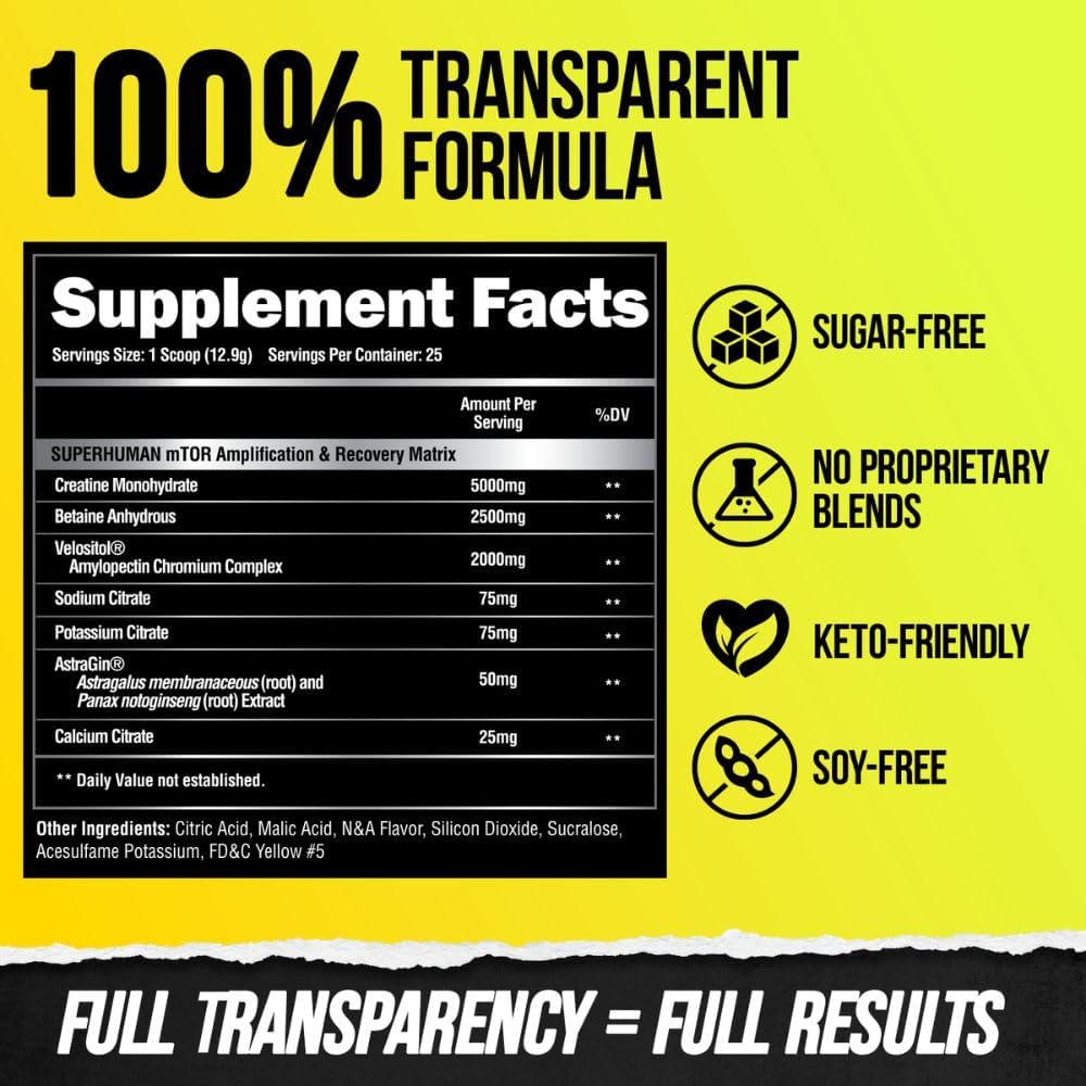 bundle-alpha-lion-superhuman-pre-workout-powder-post-workout-recovery-for-sustained-energy-lean-muscle-growth-strength-volume-9