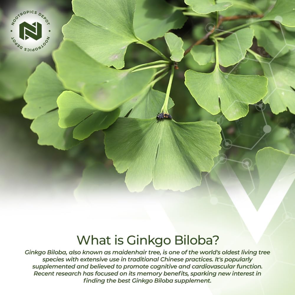 Ginkgo Biloba Extract Tablets 120mg | 90 Count | 10% Kaempferol Glycoside + 2% Bilobalide | Cognitive & Cardiovascular Support - Espot.com.au