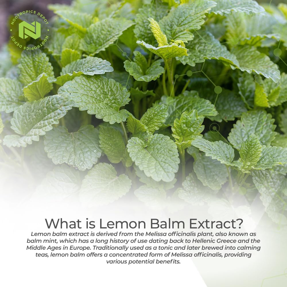 lemon-balm-extract-tablets---500mg---120-count---high-quality-nootropic-supplement-with-101-water-ethanol-extract---enhance-cognitive-function-and-support-relaxation-3
