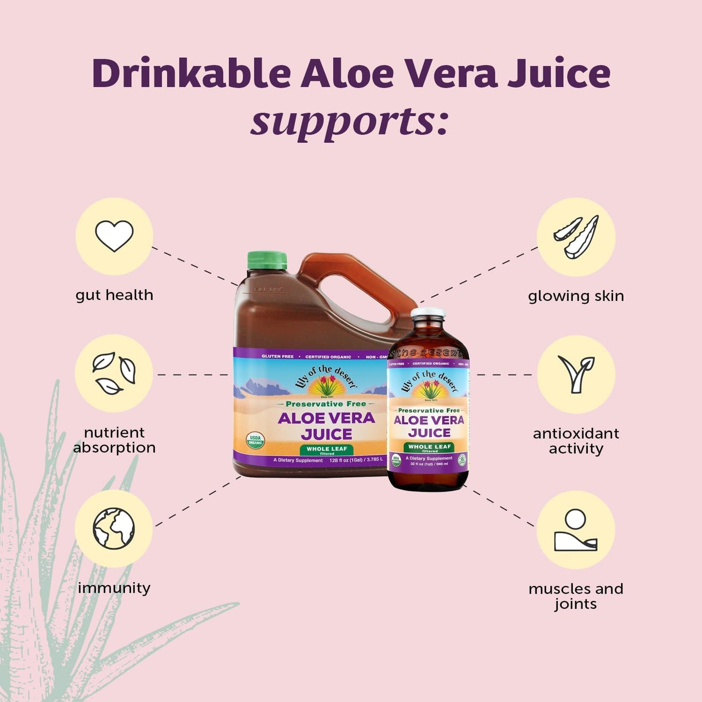 128oz-lily-of-the-desert-whole-leaf-filtered-aloe-vera-juice---non-gmo-drink-with-natural-vitamins-and-digestive-enzymes-for-gut-health-and-glowing-skin-3