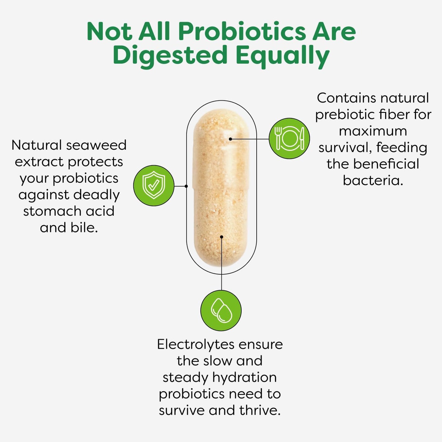 probulin-total-care-prebiotic-probiotic-and-postbiotic-supplement---20-billion-cfu---60-vegan-capsules-3-pack-7