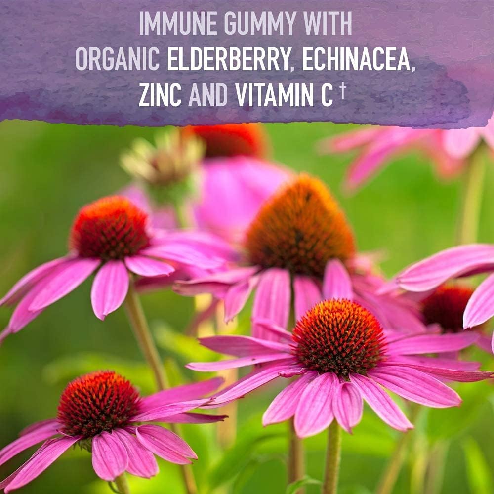 organic-elderberry-gummies-for-immune-support-with-probiotics-vitamin-c-d---berry-cherry-flavor-for-adults-kids-3