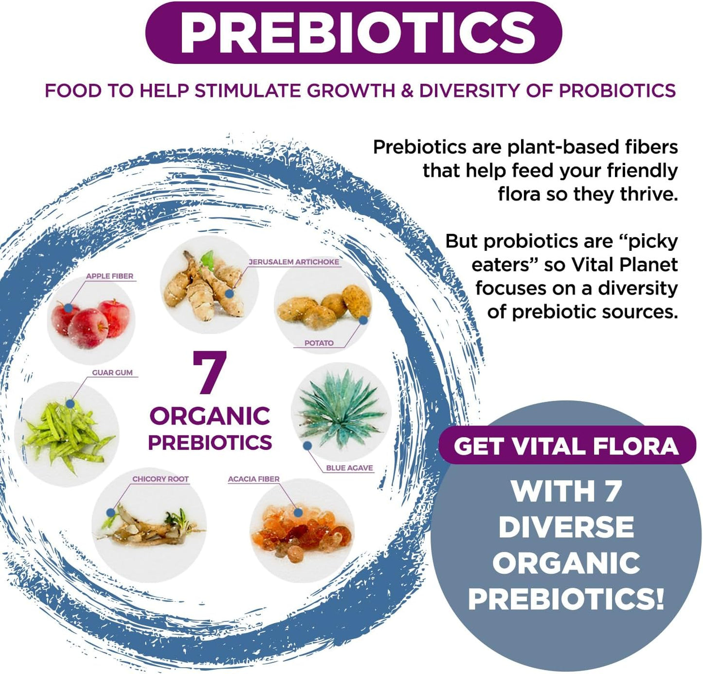 vital-planet-women-over-55-daily-probiotic---60-billion-cfu-60-strains-7-prebiotics---immune-support-digestive-health---60-capsules-5