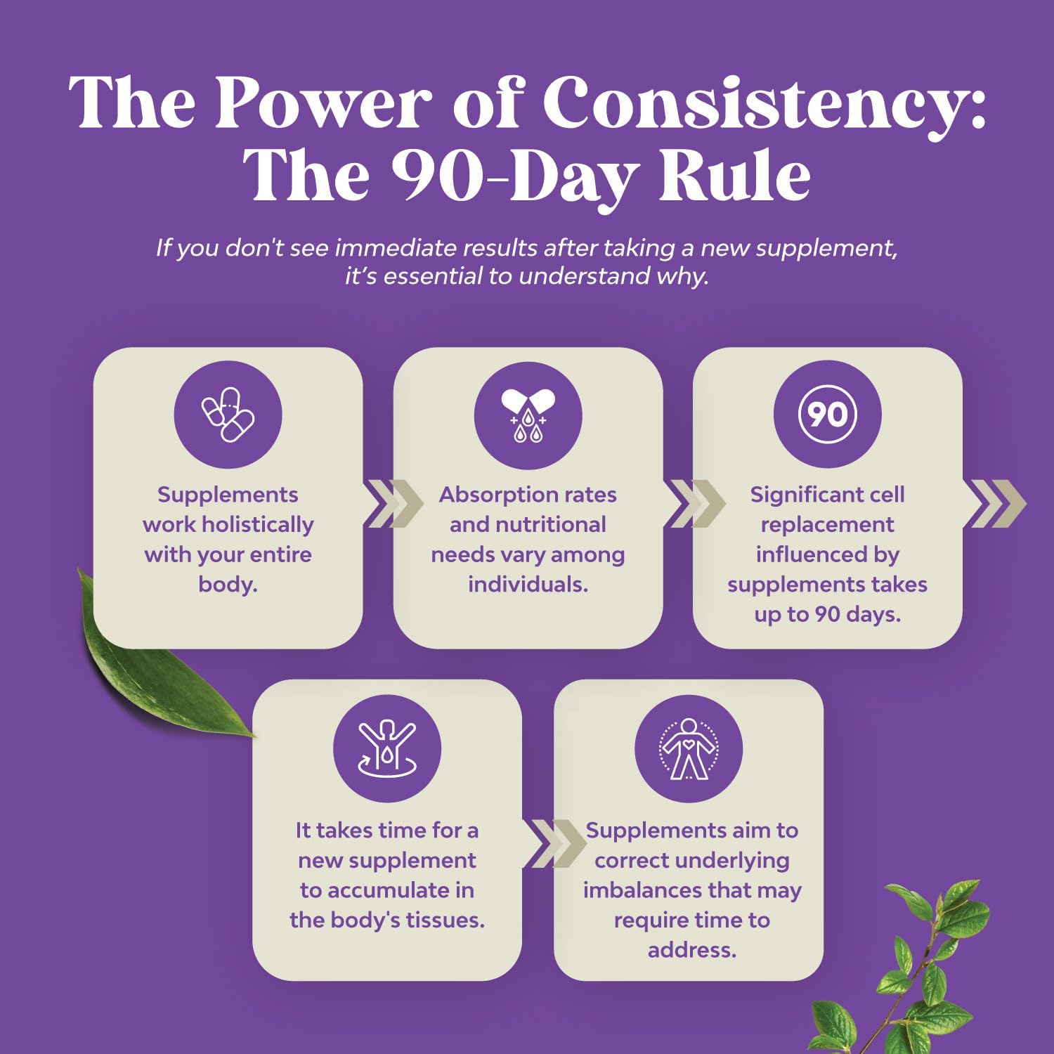 Acai Berry Capsules Antioxidant Supplement for Brain and Heart Health Boost - Natures Craft Acai Berry Cleanse Superfood Capsules for Natural Energy and Memory Support - Espot.com.au