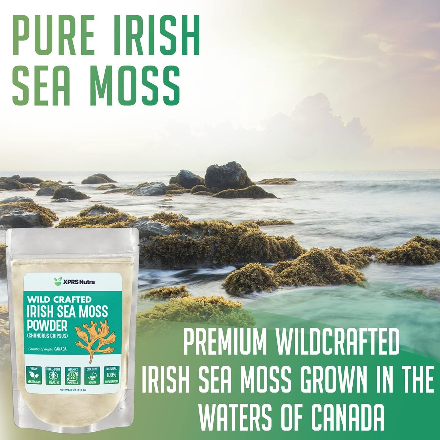 premium-wildcrafted-irish-sea-moss-powder-for-glowing-skin-total-body-health---vegan-friendly-seamoss-drink-powder-16-oz-2
