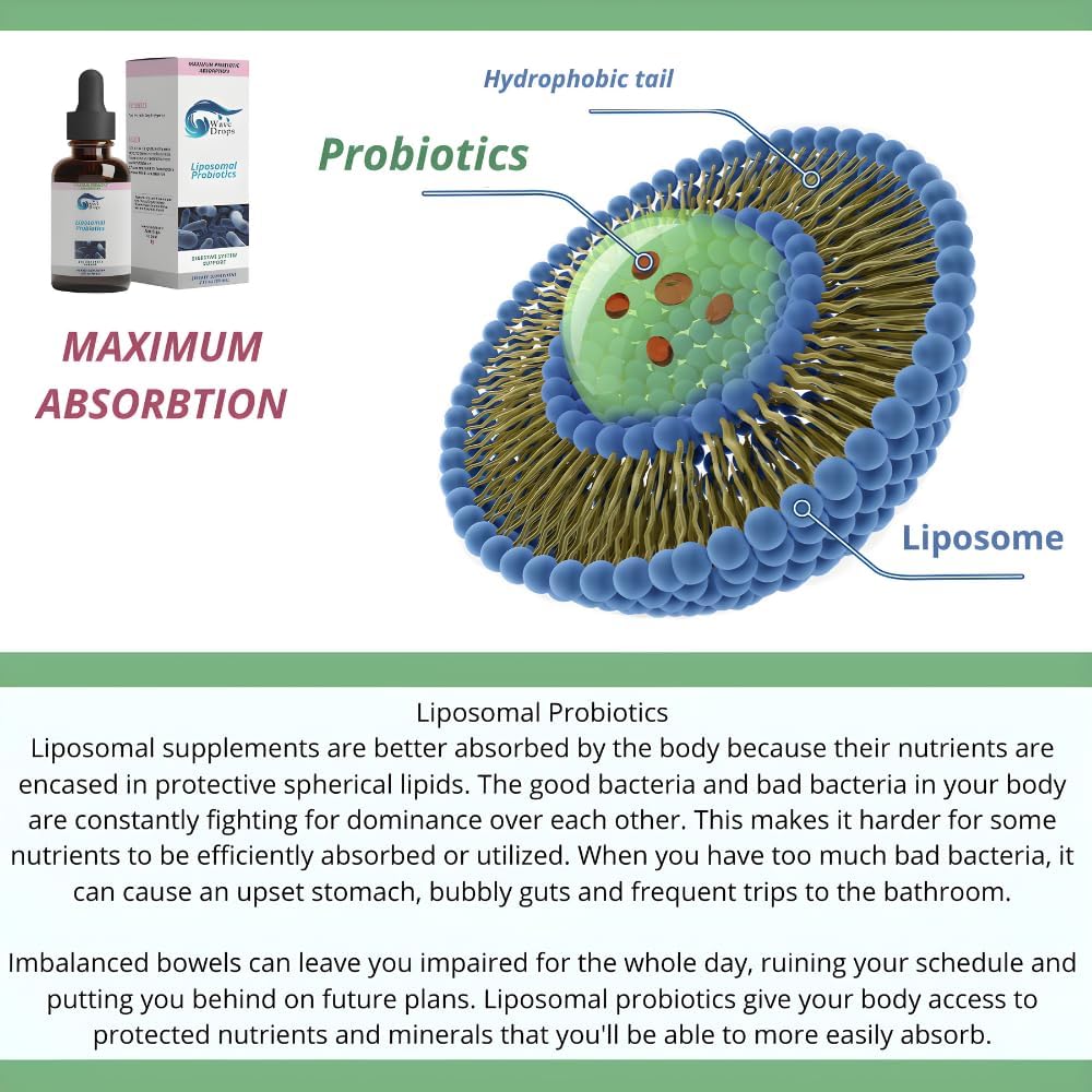 wave-drops-liposomal-probiotics---35-billion-cfus-for-men-women---liquid-drops-for-digestive-health---vegan-gluten-free---immune-support---59-servings-4