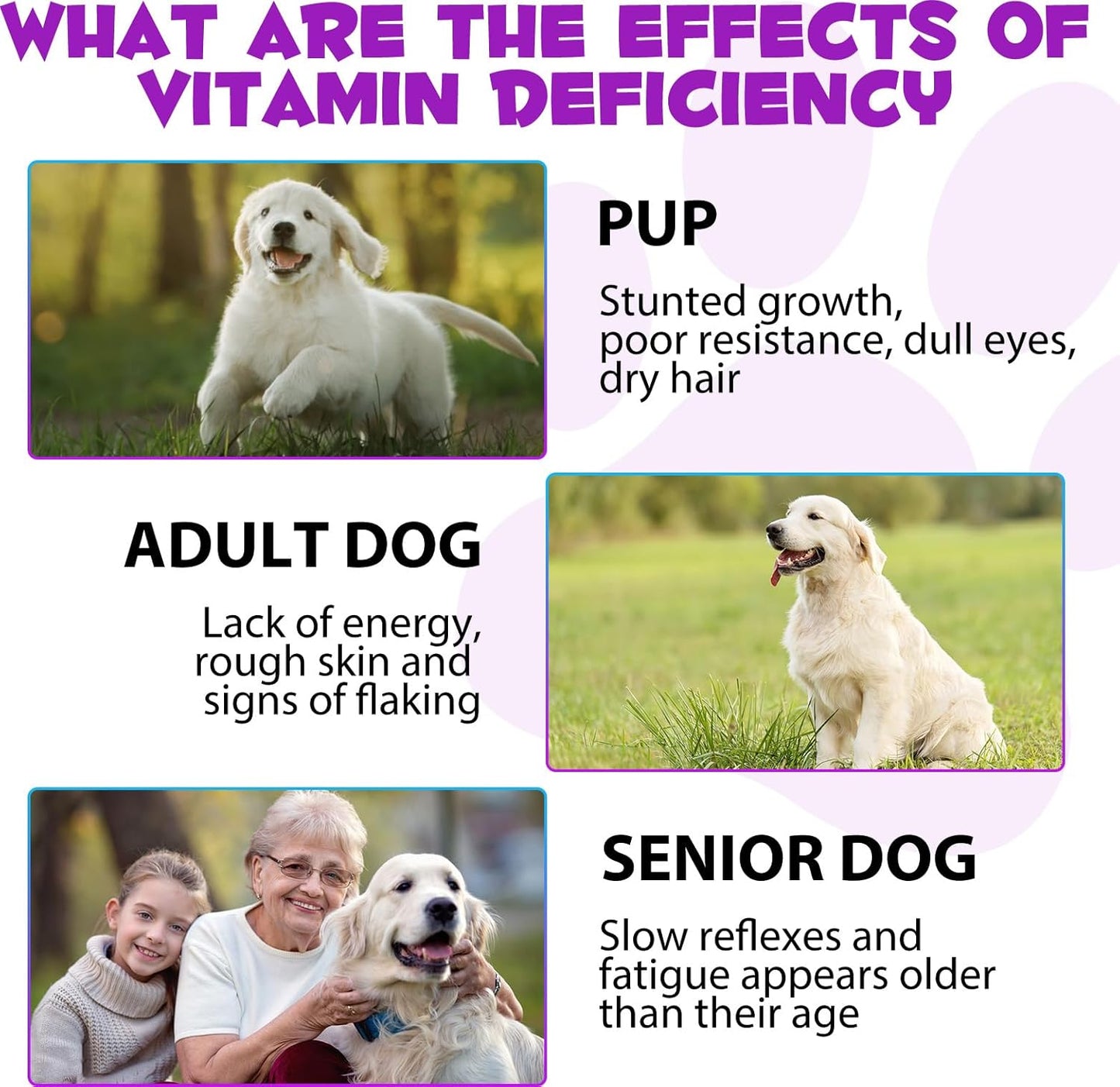 onznoz-dog-multivitamin-liquid---15-in-1-formula-for-skin-coat-heart-bones-joints---pet-supplements-for-health-wellness---2-fl-oz-6