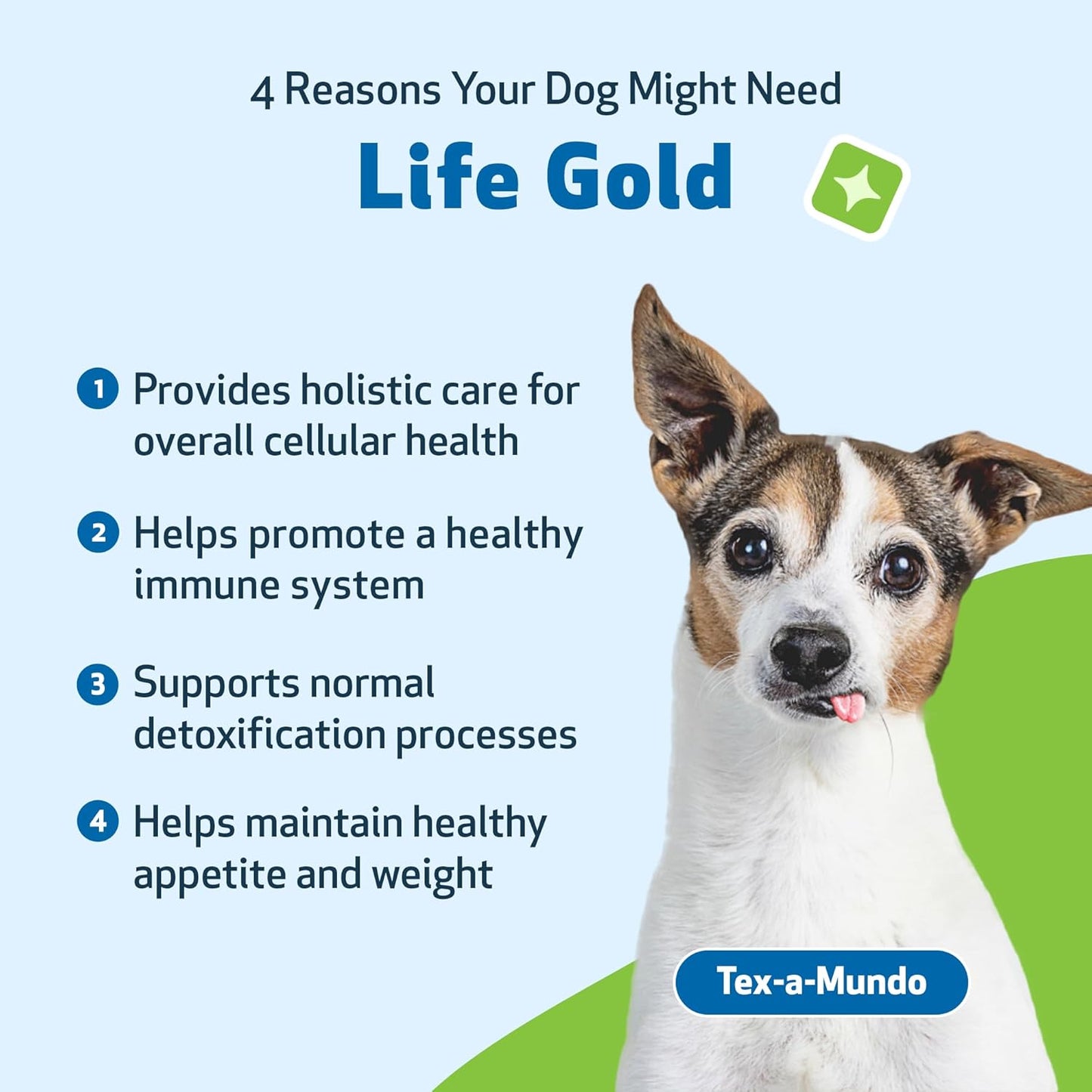 pet-wellbeing-immune-system-support-kit-with-mushrooms-for-dogs-cats---vet-formulated-for-antioxidant-protection---includes-turkey-tail-reishi-maitake-astragalus-7
