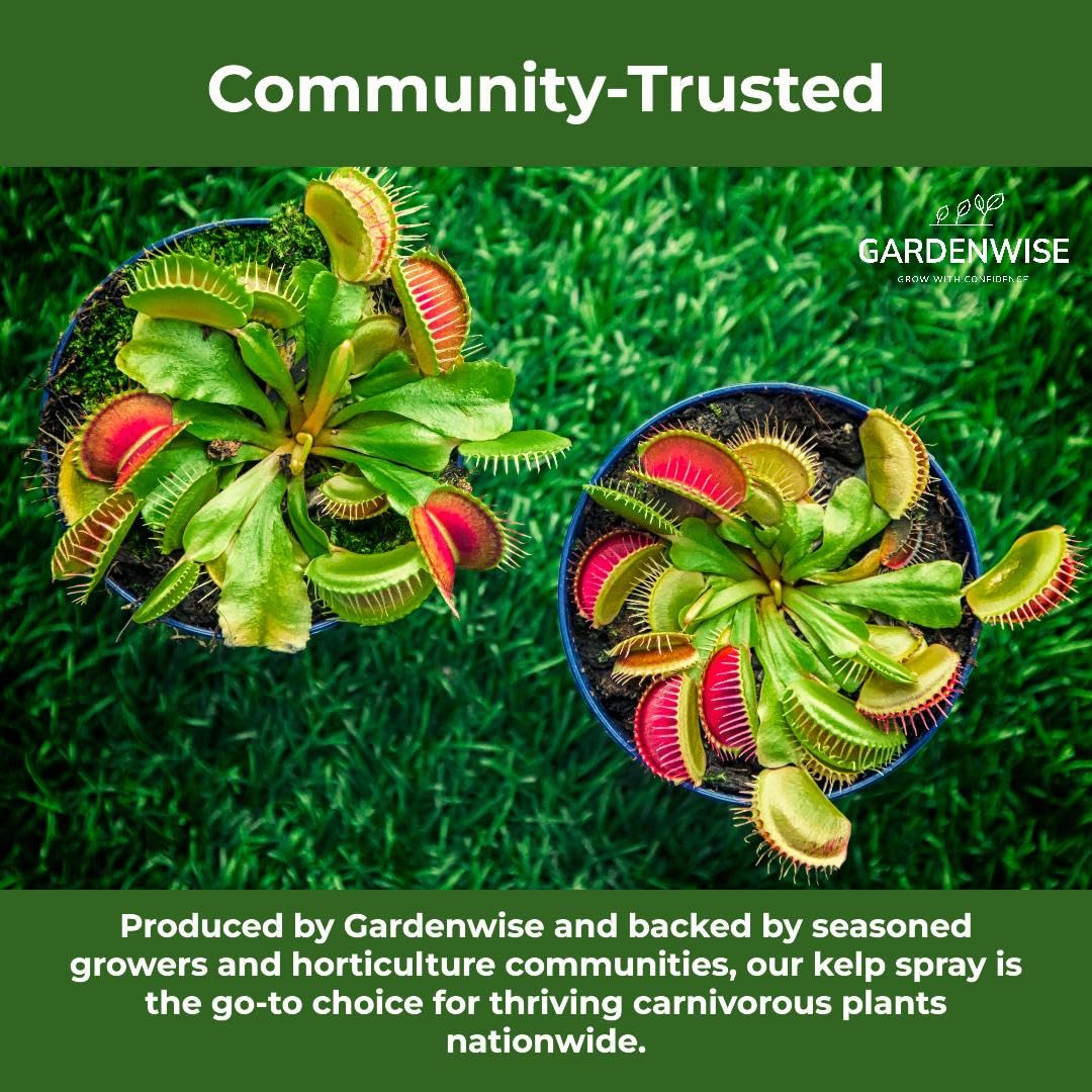 organic-liquid-kelp-foliar-spray-for-carnivorous-plants---100-natural-fertilizer-for-venus-flytraps-sundew-butterworts-pitcher-plants---8-oz-bottle-5