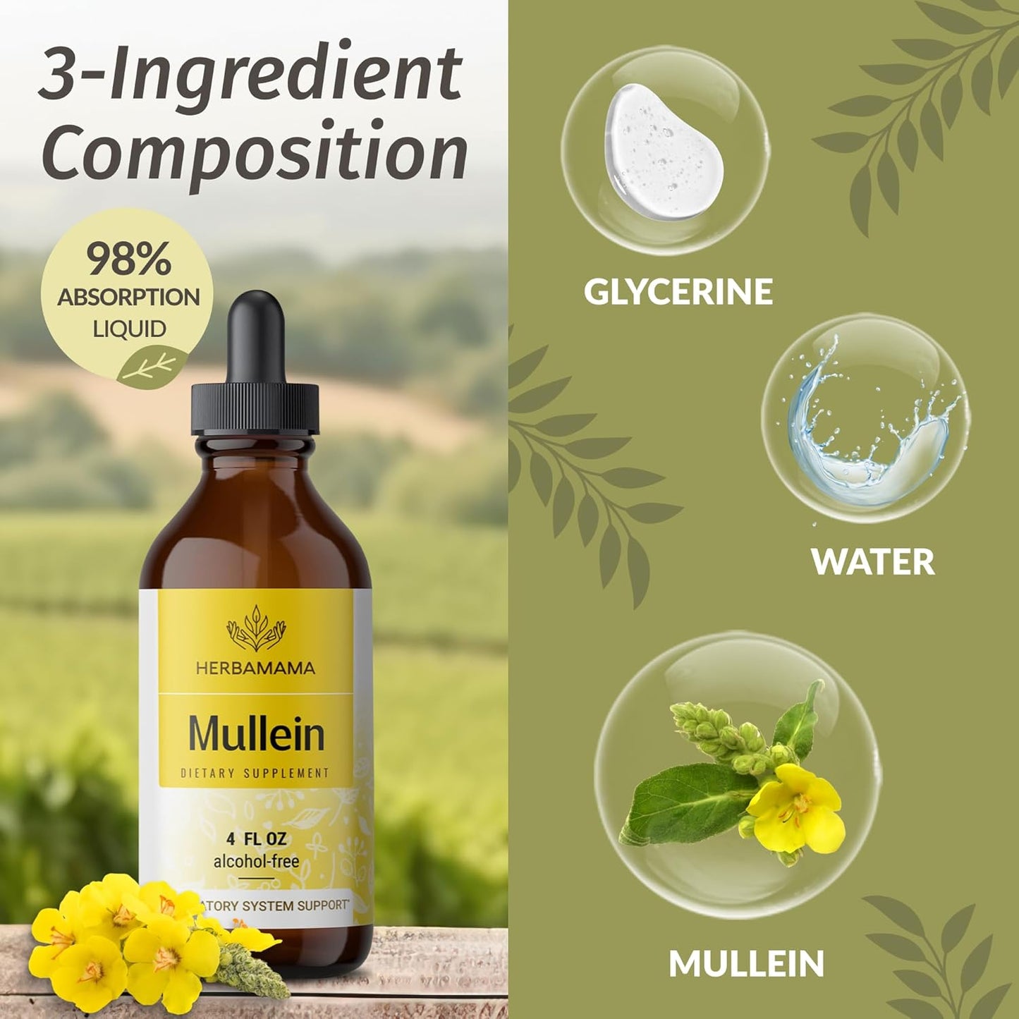 Bundle of HERBAMAMA Dandelion Root and Mullein Leaf Herbal Liquid Drops Tincture - 4 fl oz, Vegan, Non-GMO, Sugar & Alcohol-Free - 2 Pack - Espot.com.au