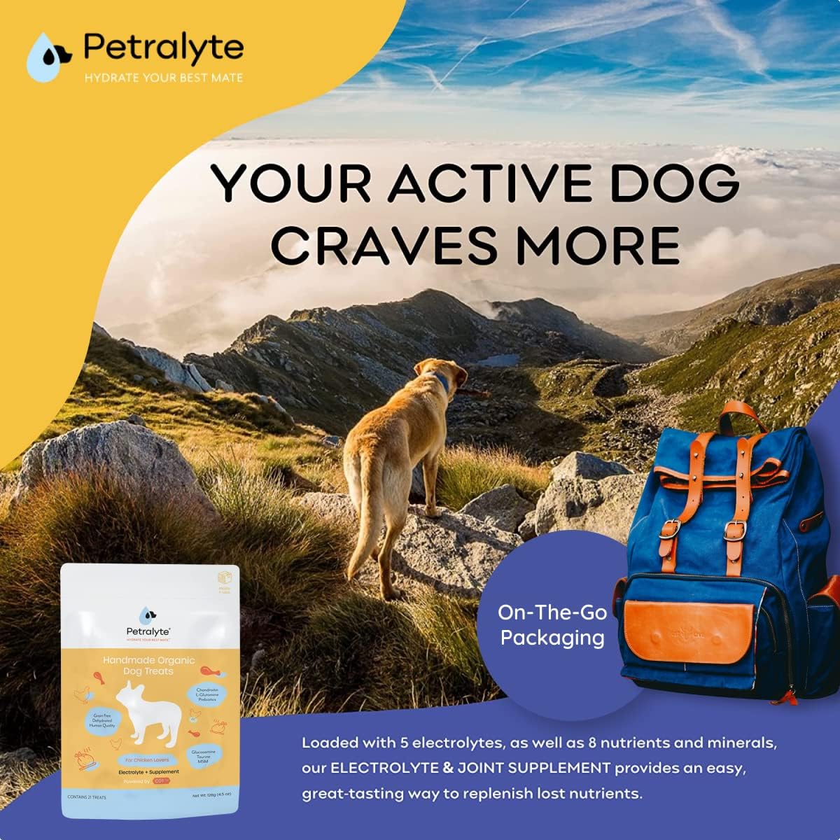 organic-petralyte-dog-electrolyte-and-joint-supplement-with-all-natural-vitamins-for-inflammation-and-mobility-support---chicken-flavored-4