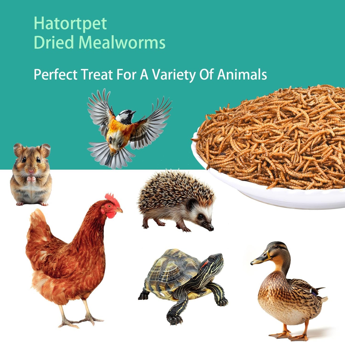 5lb-bag-of-non-gmo-dried-mealworms---high-protein-feed-for-chickens-laying-hens-and-wild-birds---pure-natural-snack-6