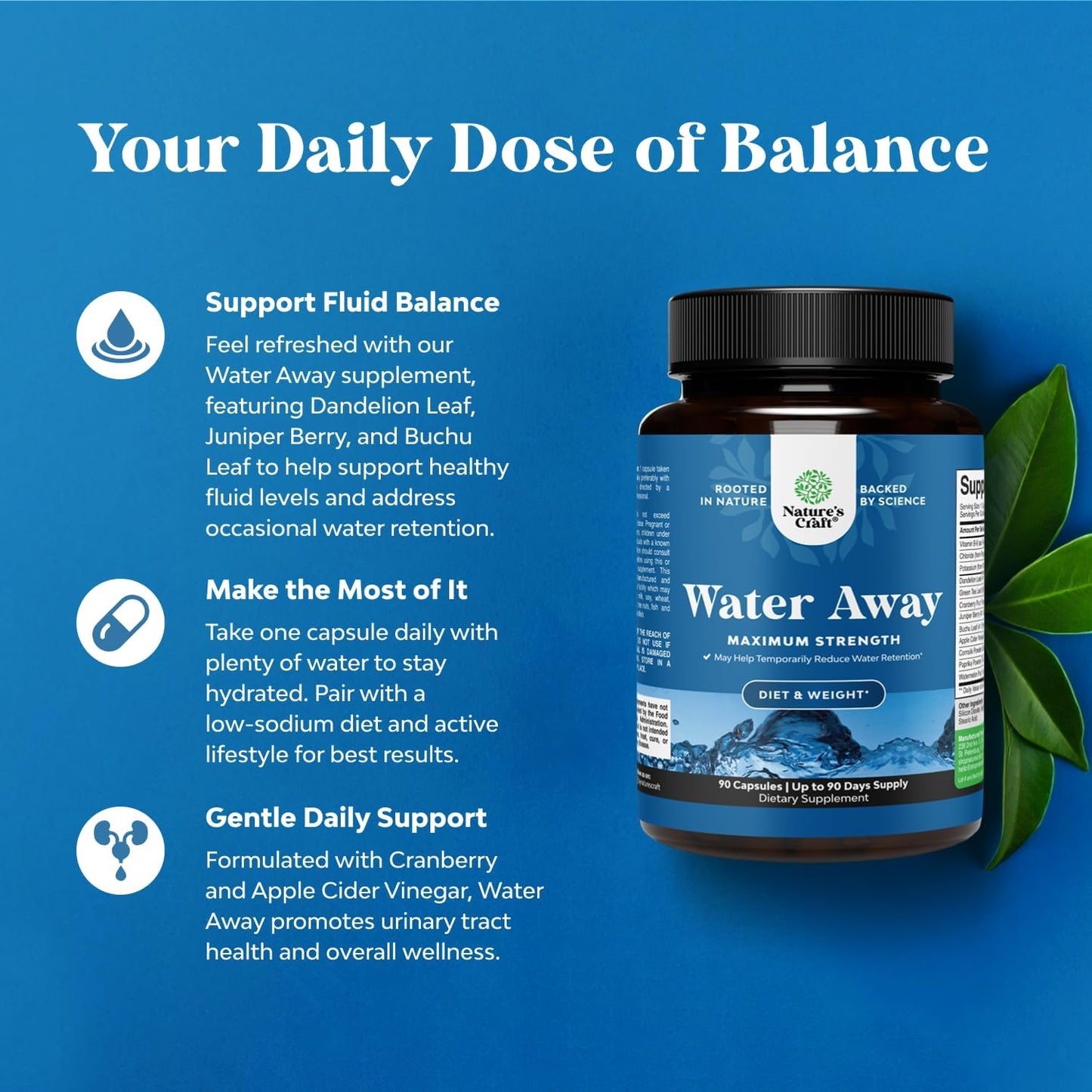 herbal-diuretic-water-away-pills---fast-acting-bloating-relief-for-women-and-men---maximum-strength---90-servings-2