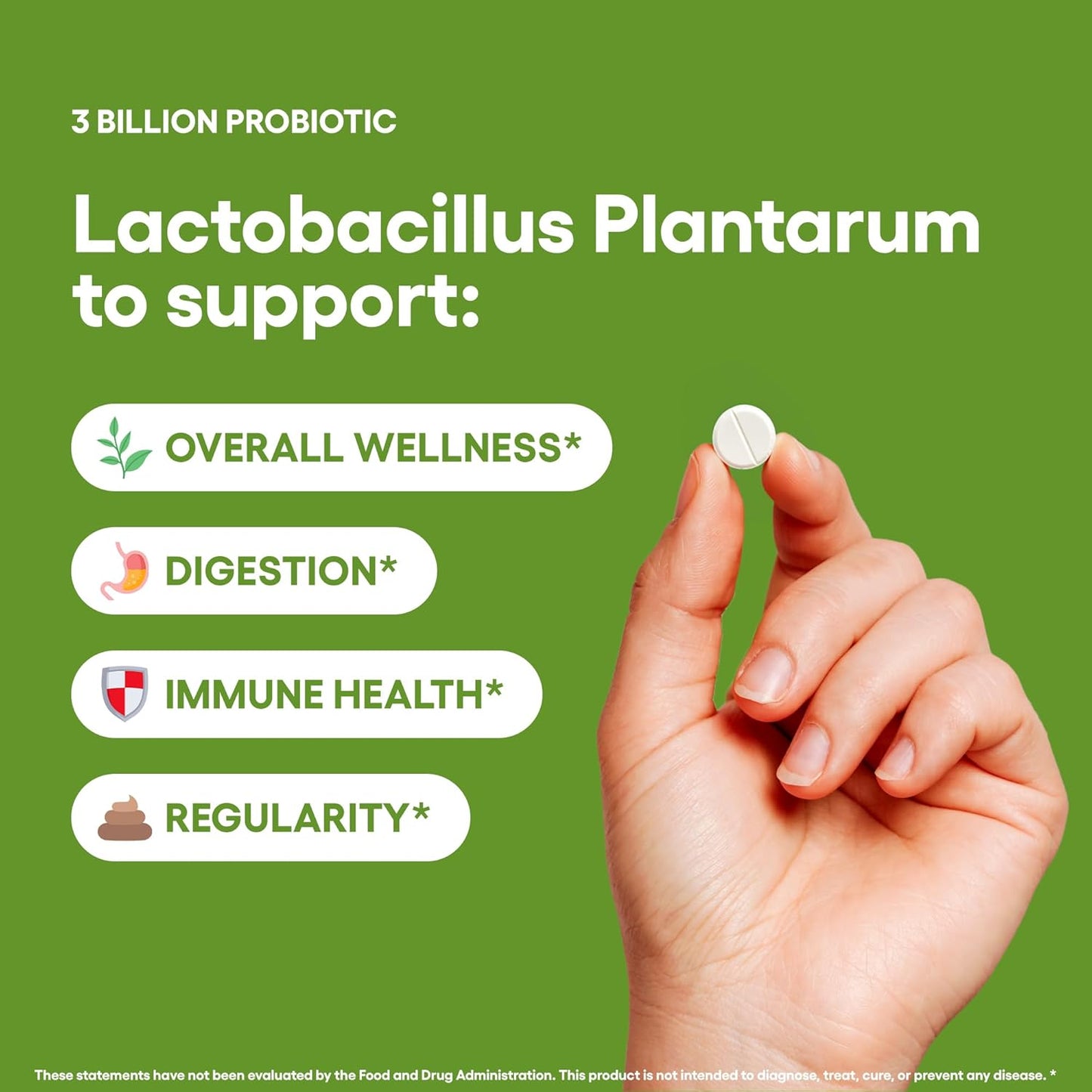 240-tablets-lactobacillus-plantarum-probiotic-supplement-for-gut-health---3-billion-cfu-probiotics-for-men-women---natural-foundation-supplements---made-in-usa-3