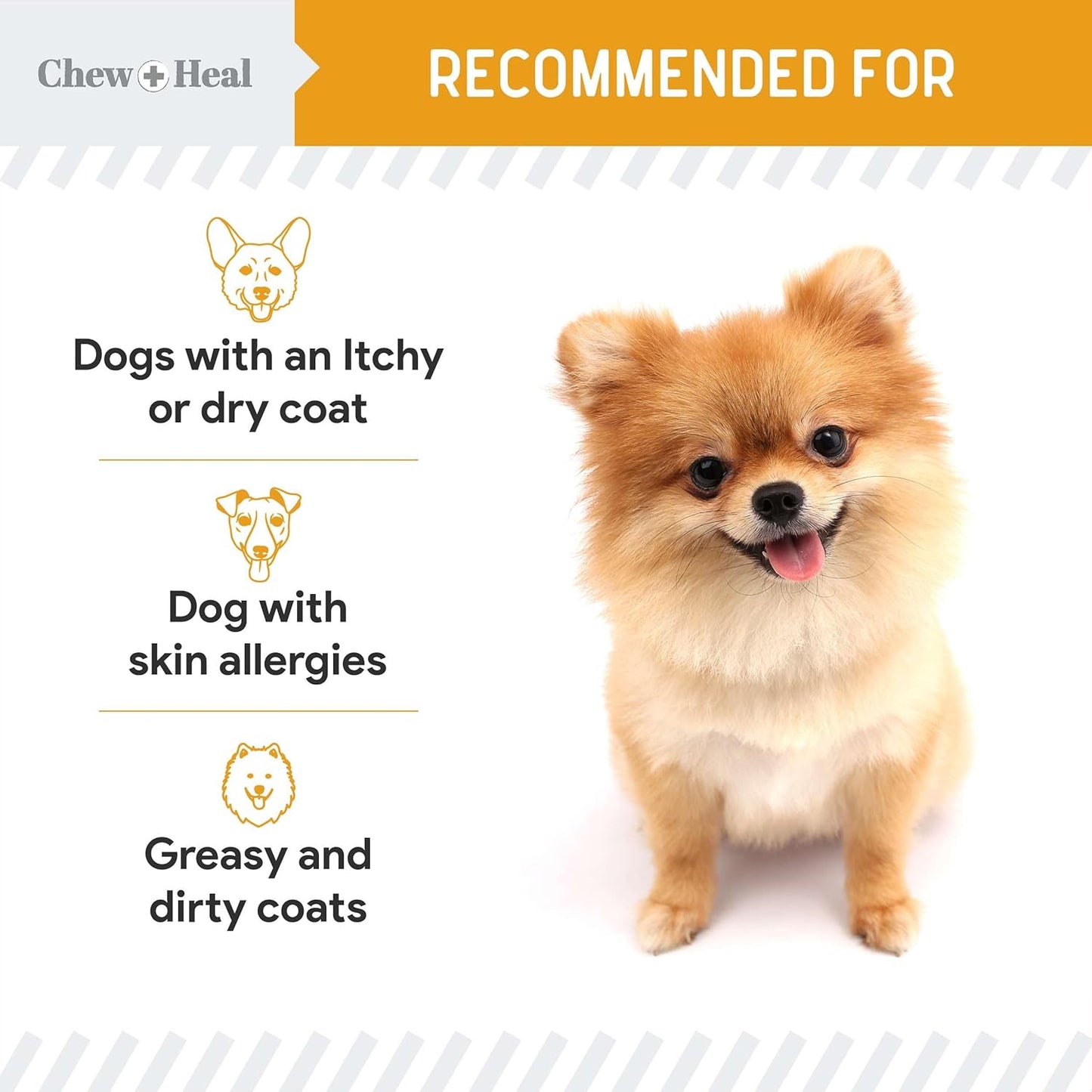 norwegian-dog-salmon-oil---premium-omega-3-supplement-for-skin-and-coat-health---chew-heal-labs-8-oz-liquid---supports-itchy-skin---essential-dog-supplement-5