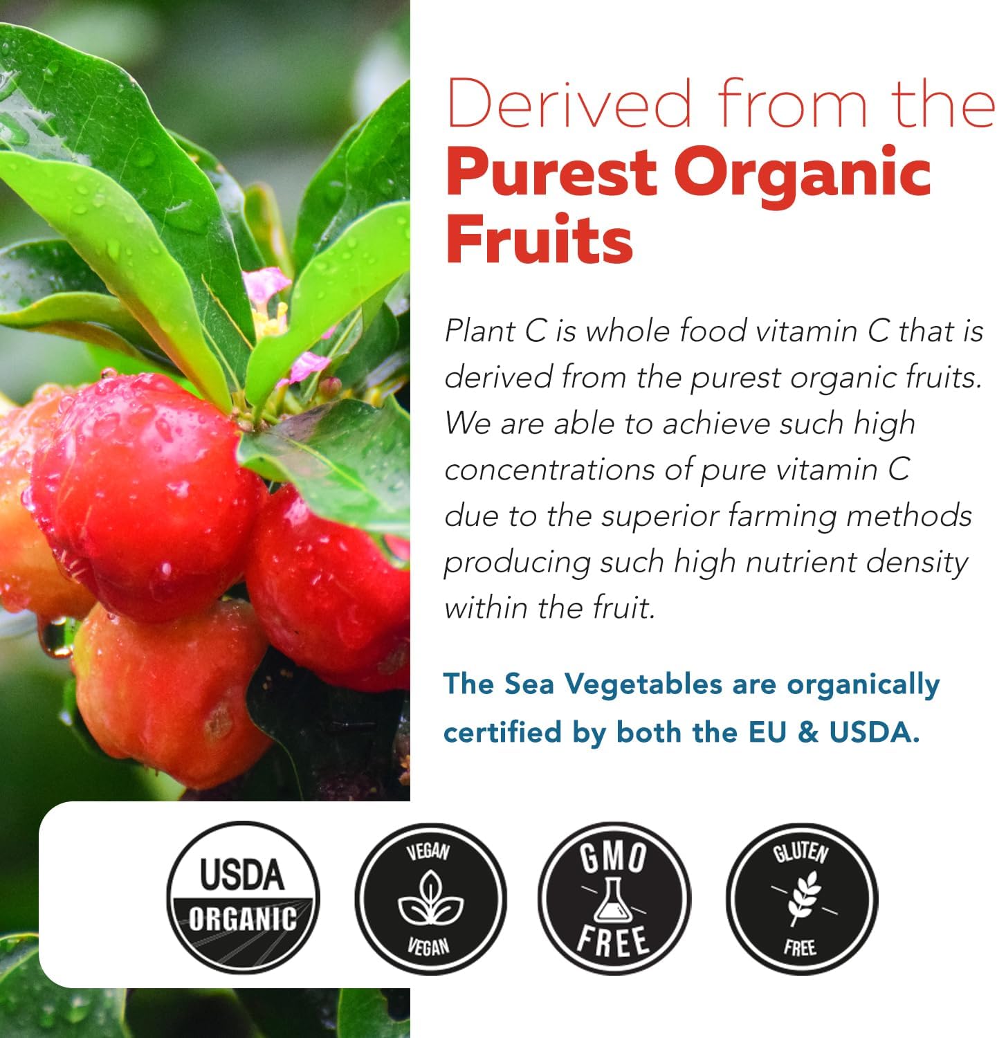 triquetra-health-organic-vitamin-c-with-fruit-cofactors---vegan-enhanced-bioavailability---immune-support-antioxidant---90-servings-8