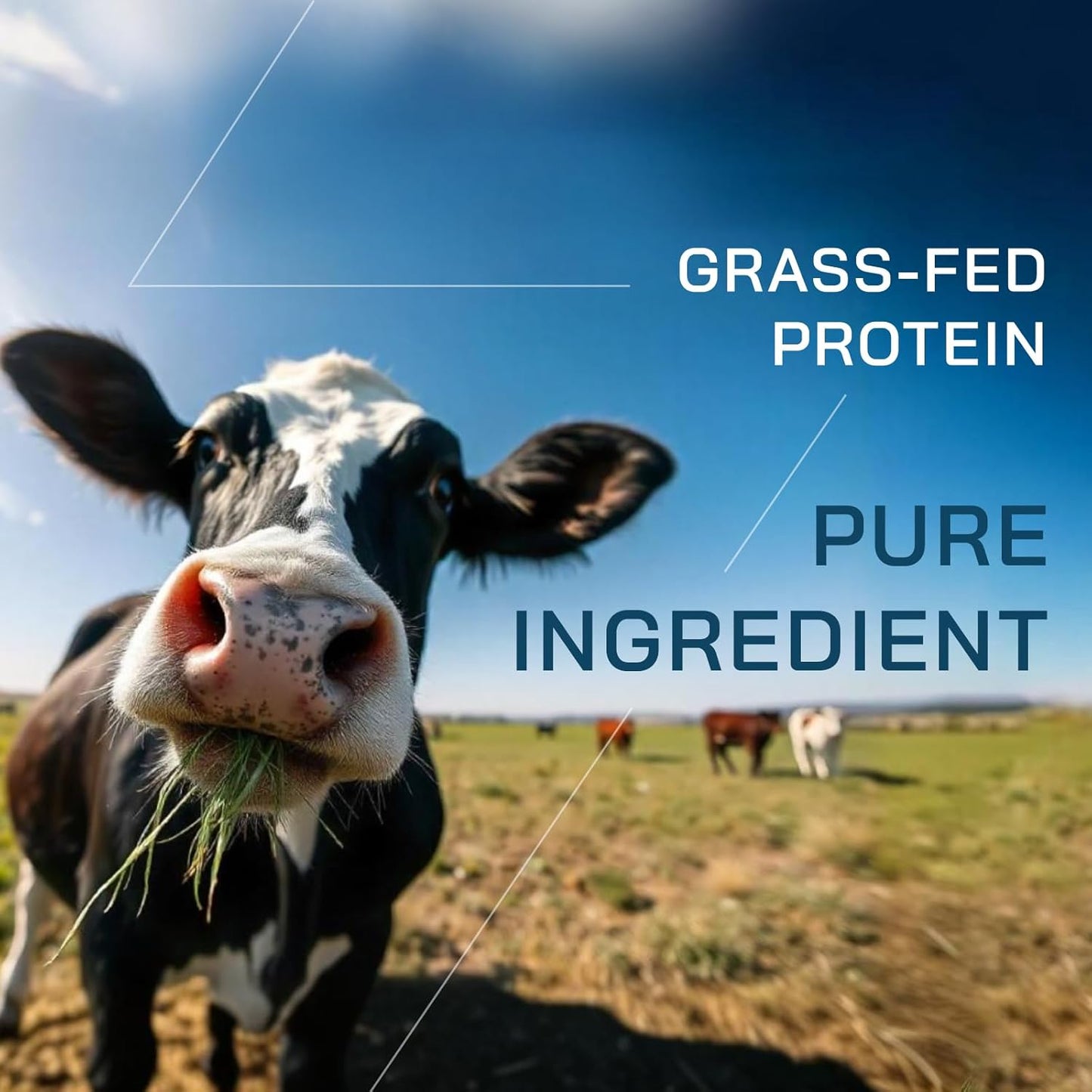 premium-grass-fed-whey-protein-powder-with-bcaas---2lb-18-servings---gopower-4