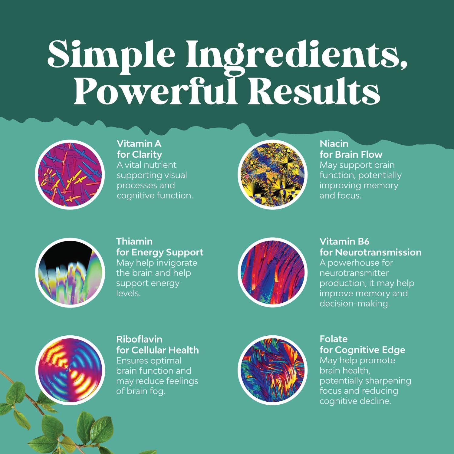 bundle-of-nootropic-brain-supplements-for-memory-focus-and-mood-support---includes-advanced-brain-supplement-and-sam-e-200mg-vitamin-supplement---natural-cognitive-enhancement-and-mood-boost-pills-6