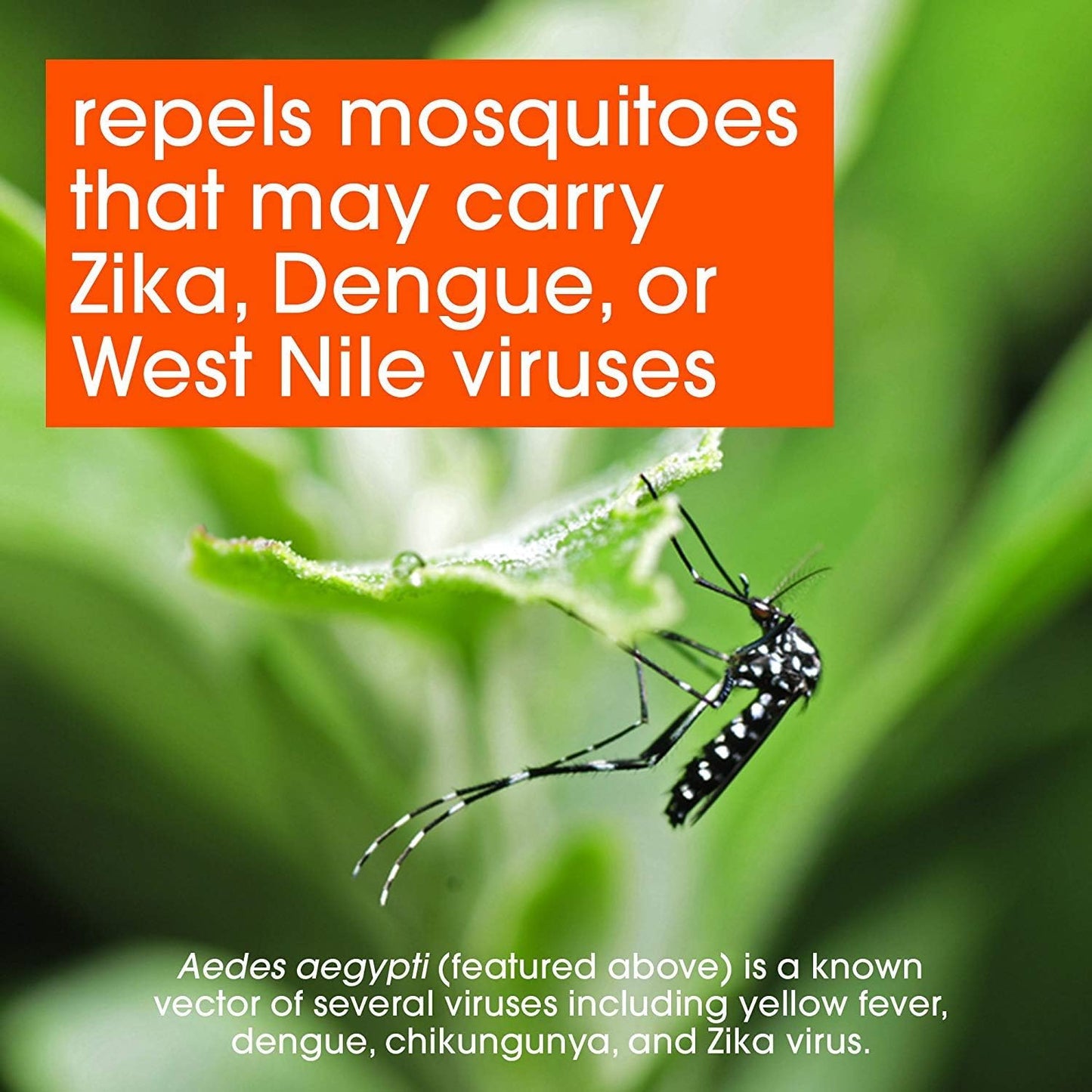 6-pack-off-deep-woods-insect-repellent-vii-6-oz---long-lasting-protection-against-mosquitoes-and-ticks-3