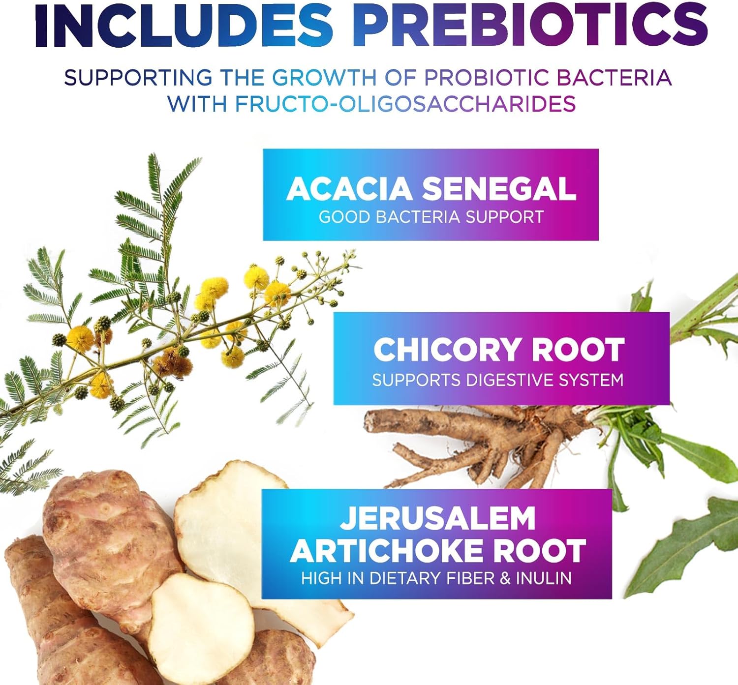 premium-daily-probiotic-supplement-60-billion-cfu---10-strains-4-prebiotics-supports-gut-health-digestive-wellness-men-women-60-capsules-7