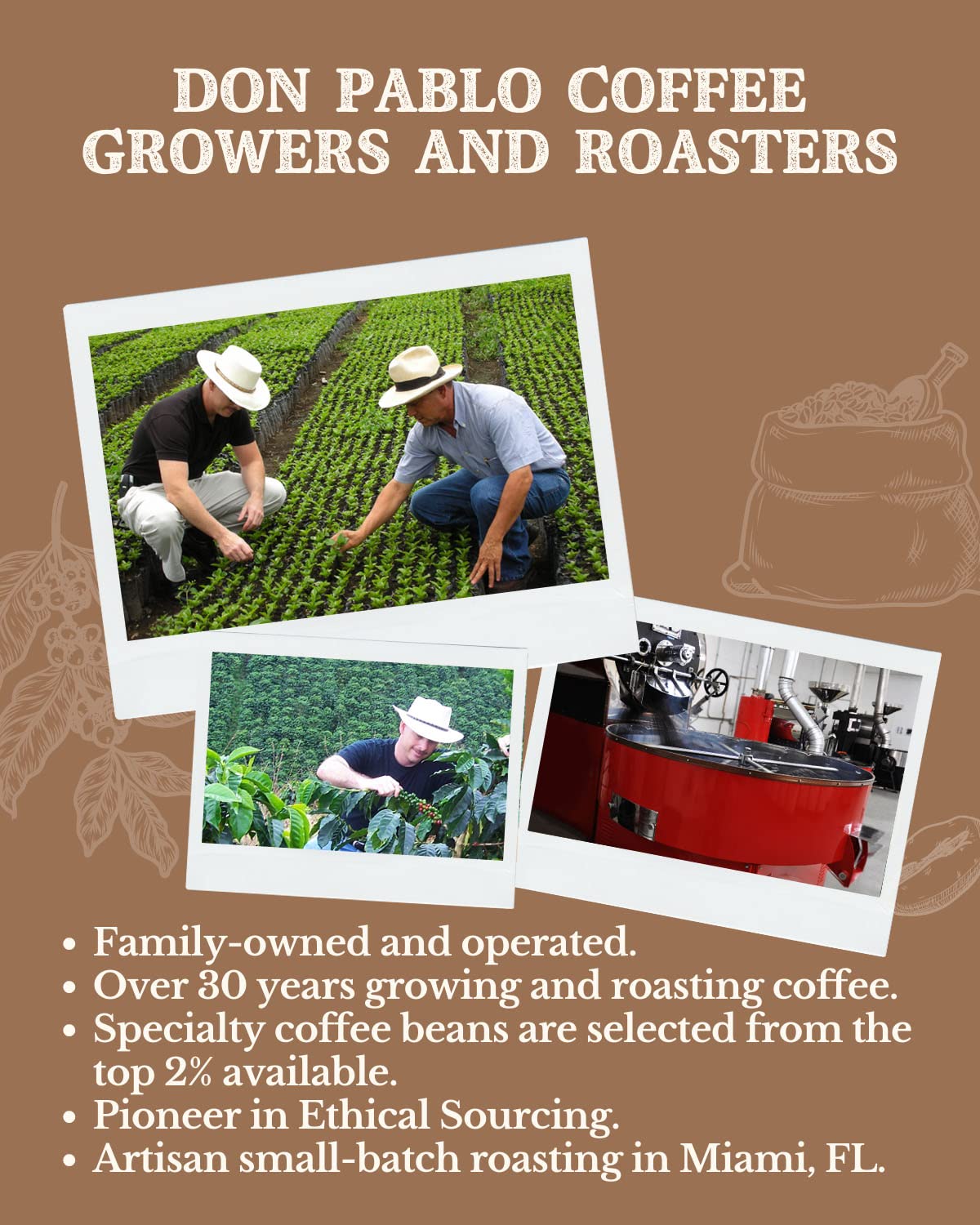 organic-dark-roast-whole-bean-coffee---low-acidity---non-gmo---100-arabica-beans---cafe-don-pablo-subtle-earth---2lb-bag-7