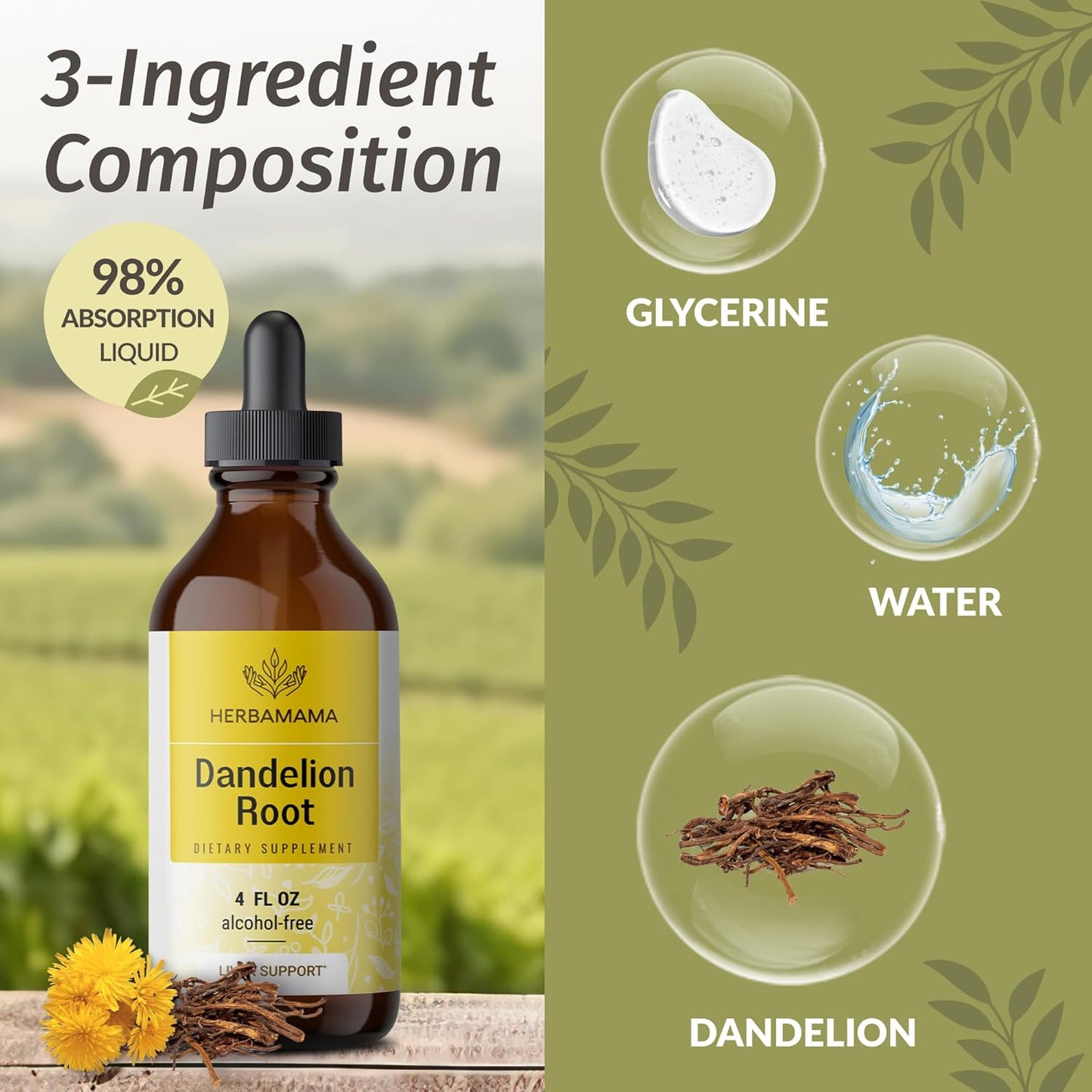 Bundle of HERBAMAMA Dandelion Root and Mullein Leaf Herbal Liquid Drops Tincture - 4 fl oz, Vegan, Non-GMO, Sugar & Alcohol-Free - 2 Pack - Espot.com.au